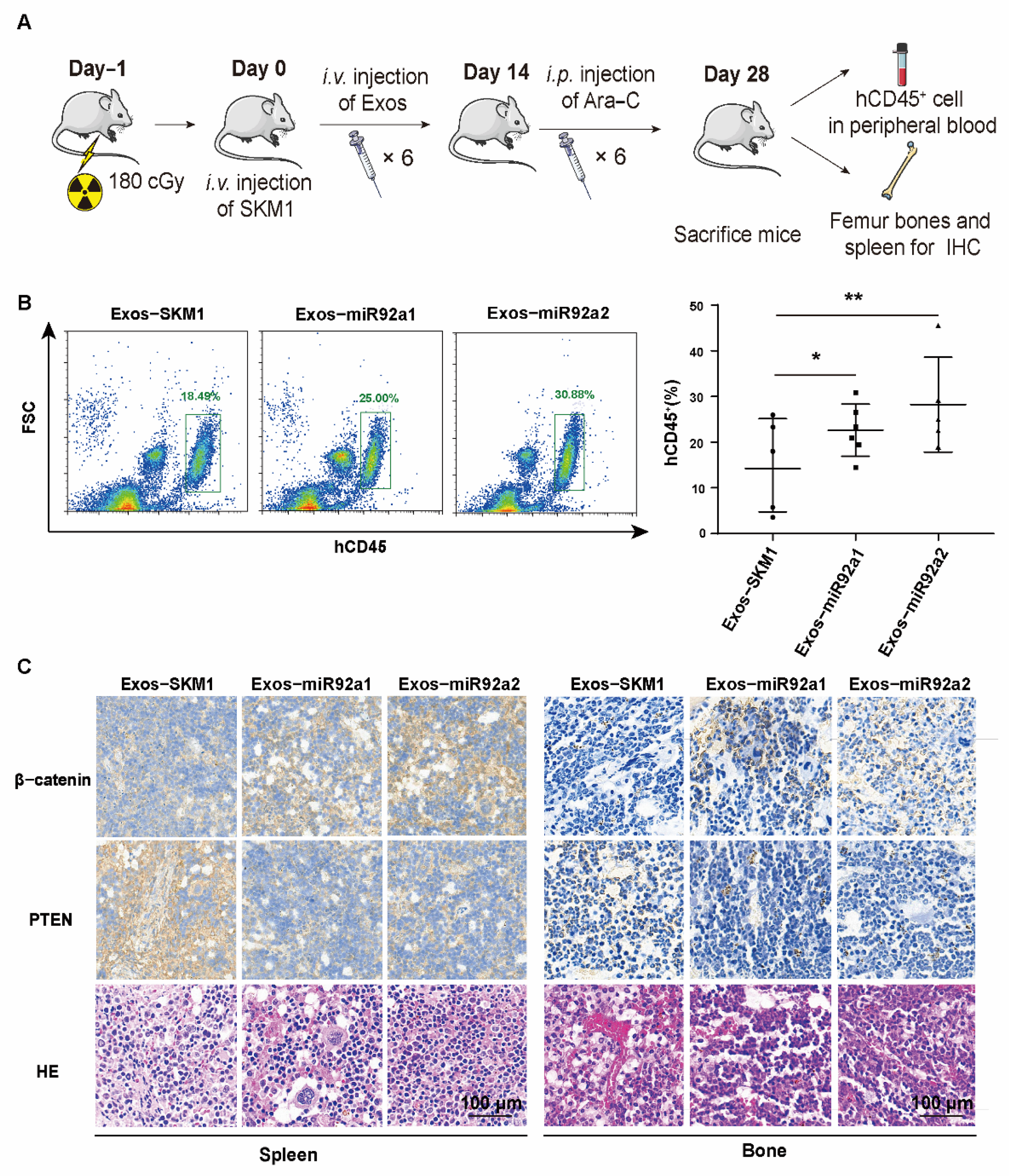 Biomolecules 12 01448 g005 Biomolecules 12 01448 g005