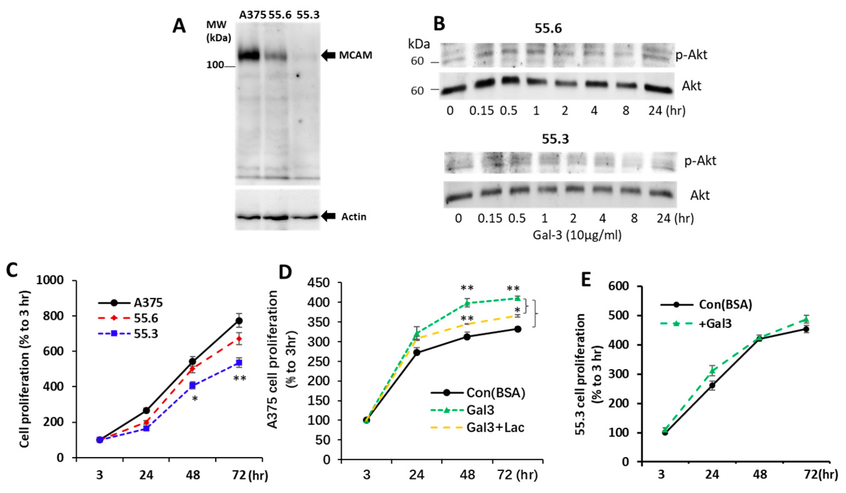 Biomolecules 12 01451 g005