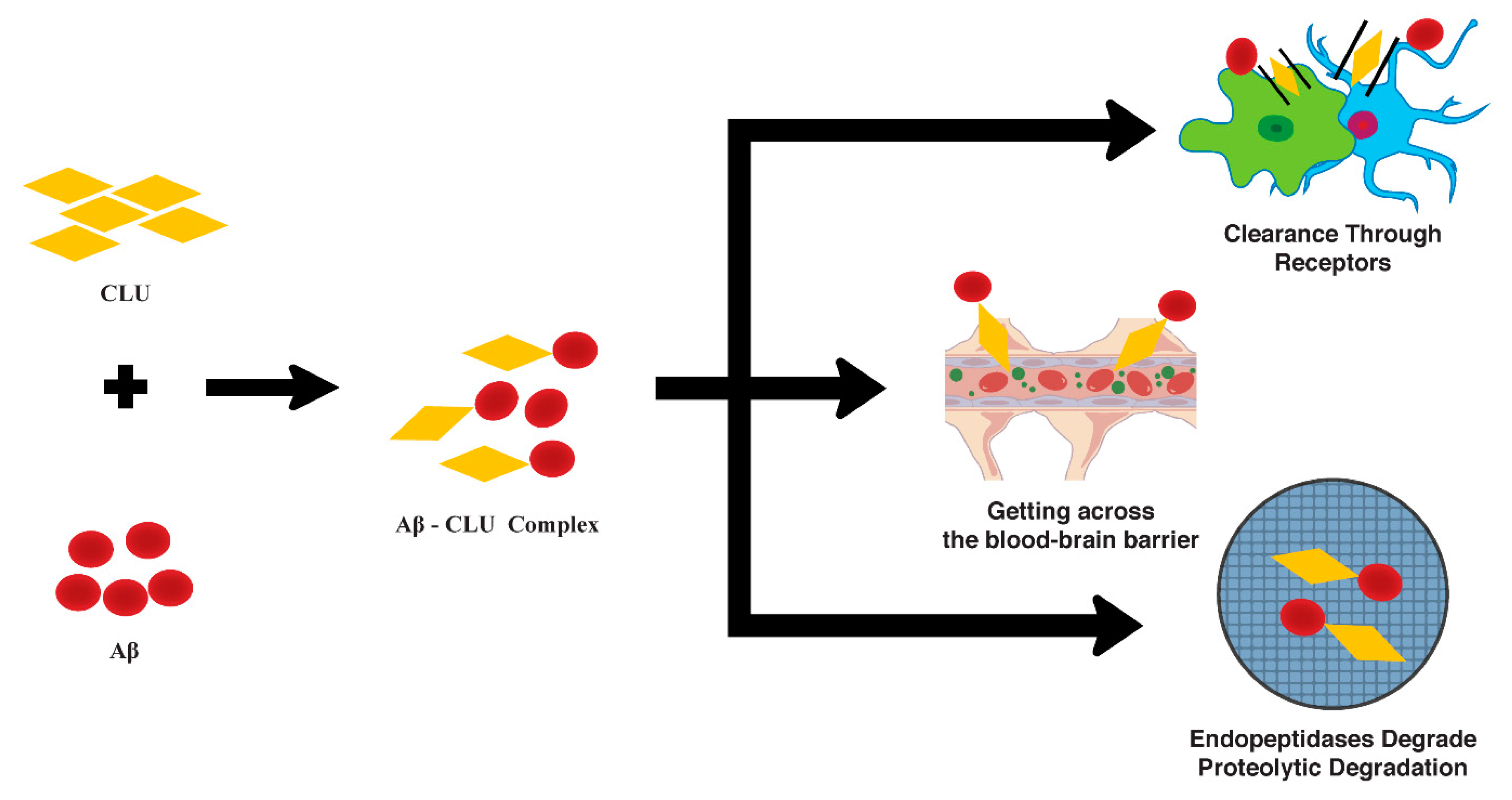 The Genetics Of Alzheimer'S: A Breakthrough? - v2kyks4