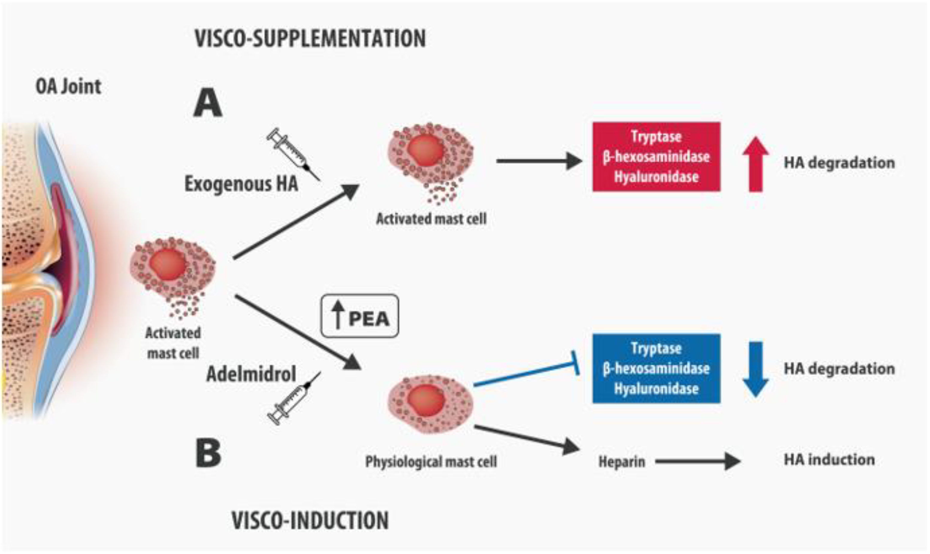 Biomolecules 12 01453 g002
