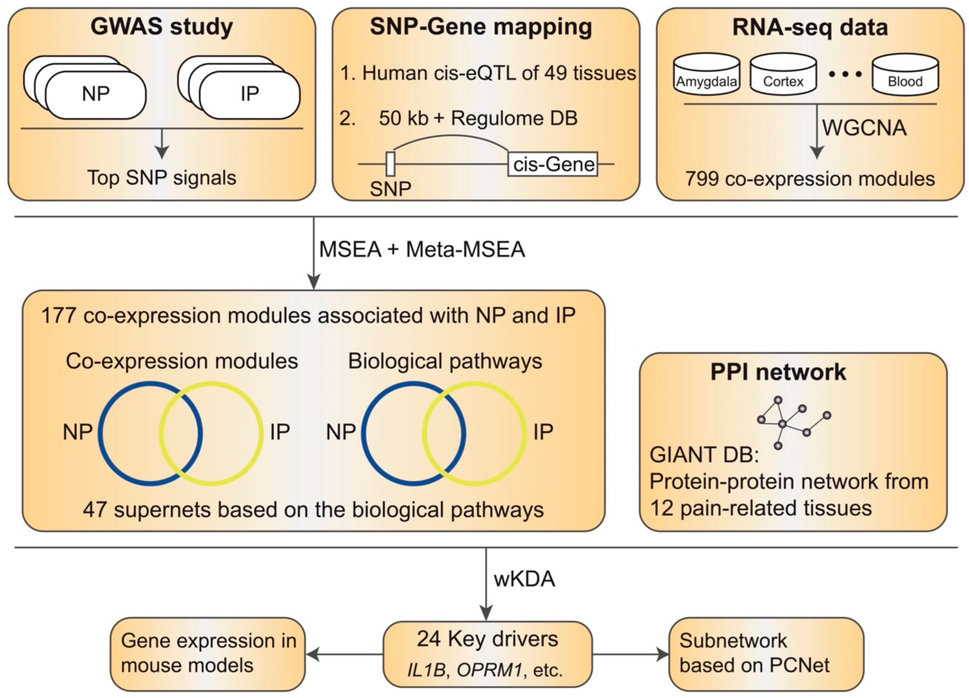 Biomolecules 12 01454 g001 Biomolecules 12 01454 g001