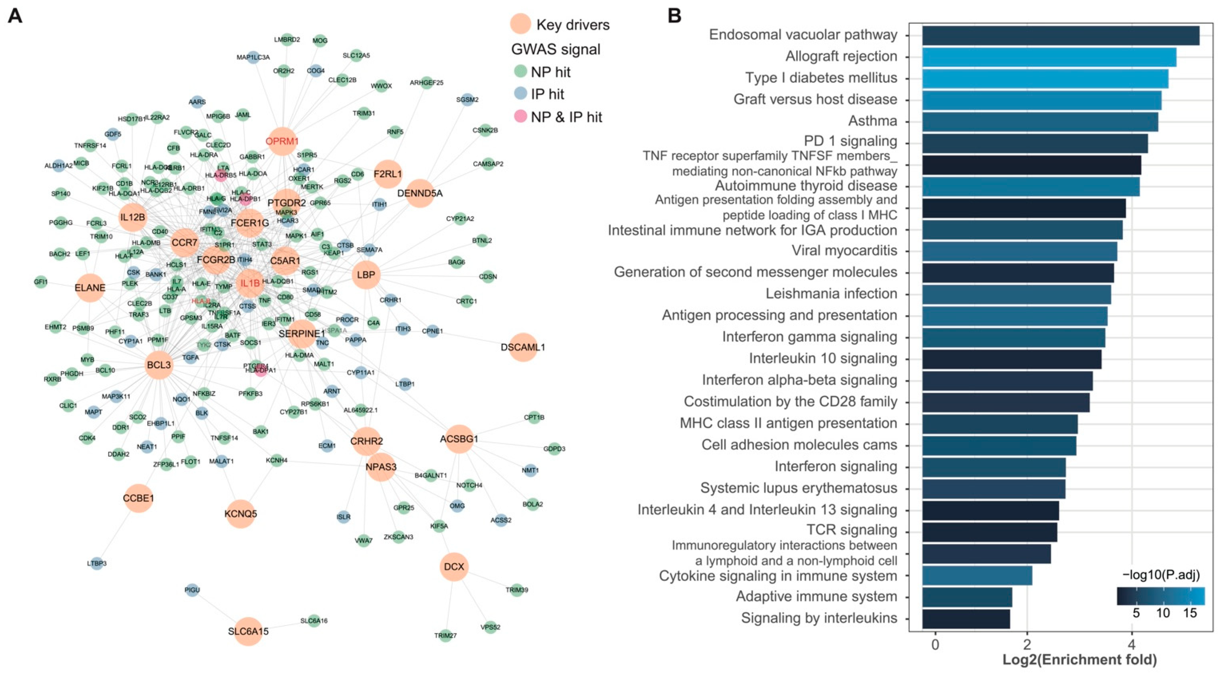 Biomolecules 12 01454 g003 Biomolecules 12 01454 g003