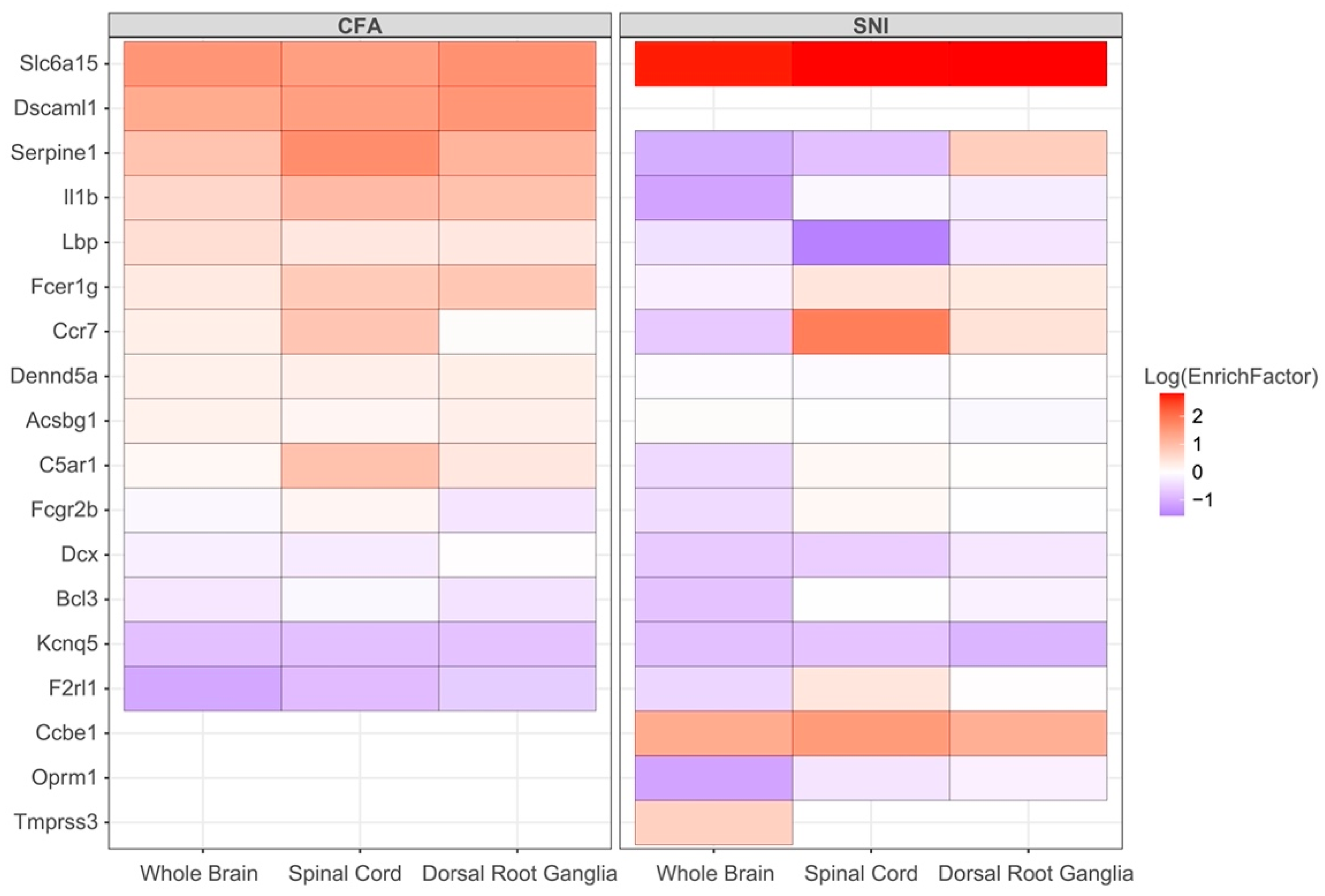 Biomolecules 12 01454 g004 Biomolecules 12 01454 g004