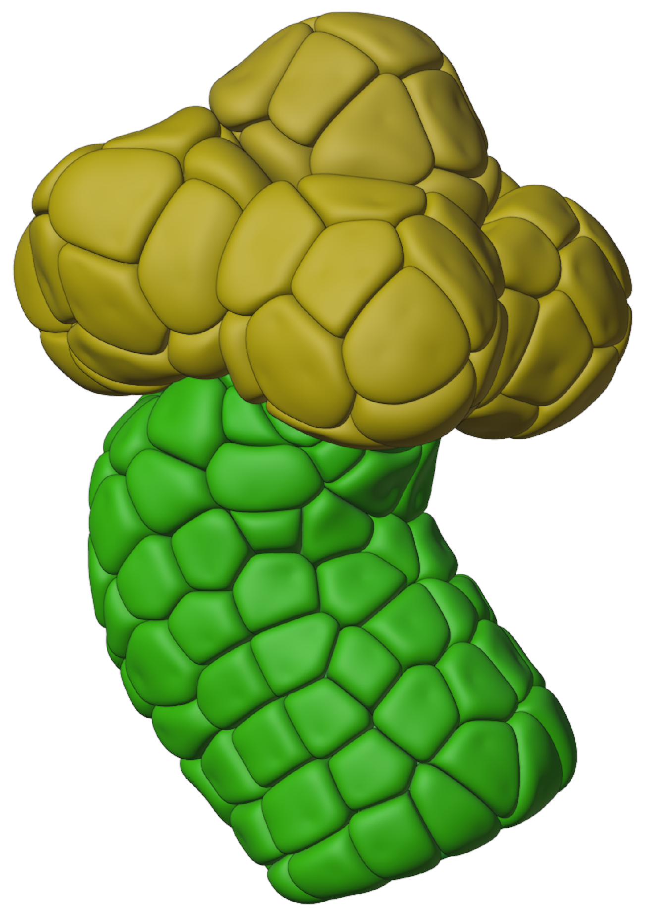 Biomolecules 12 01455 g003