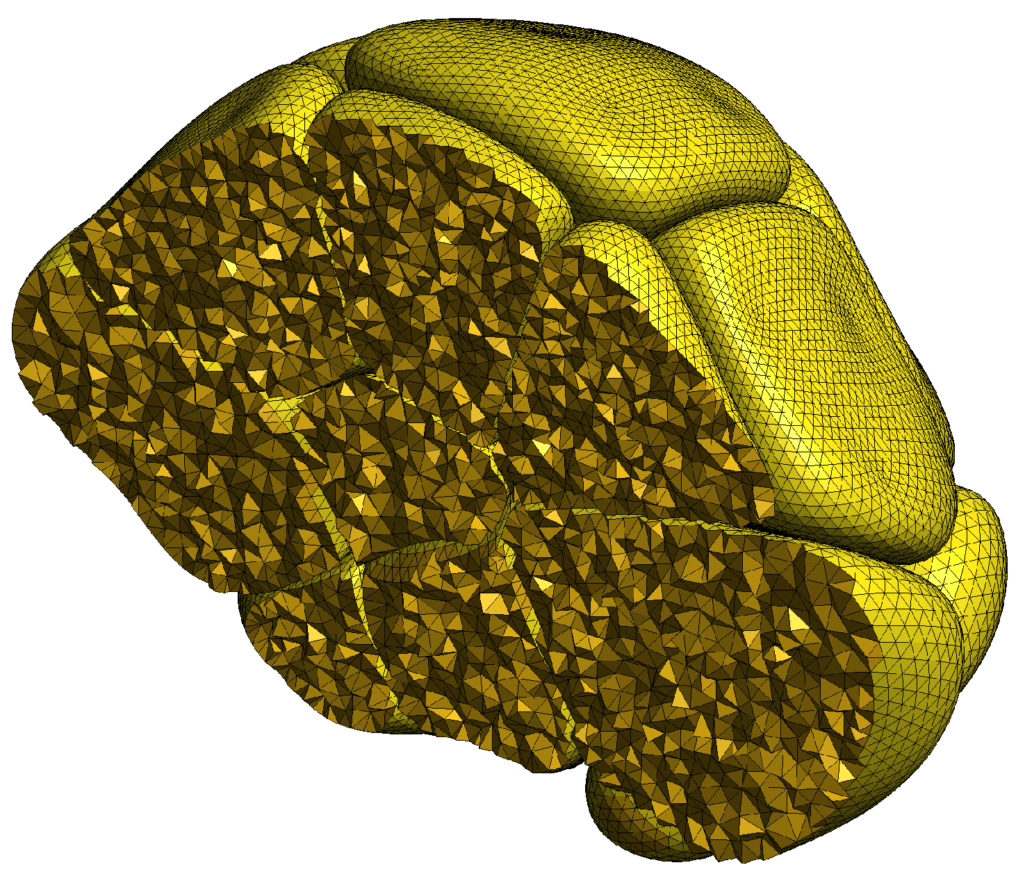 Biomolecules 12 01455 g006