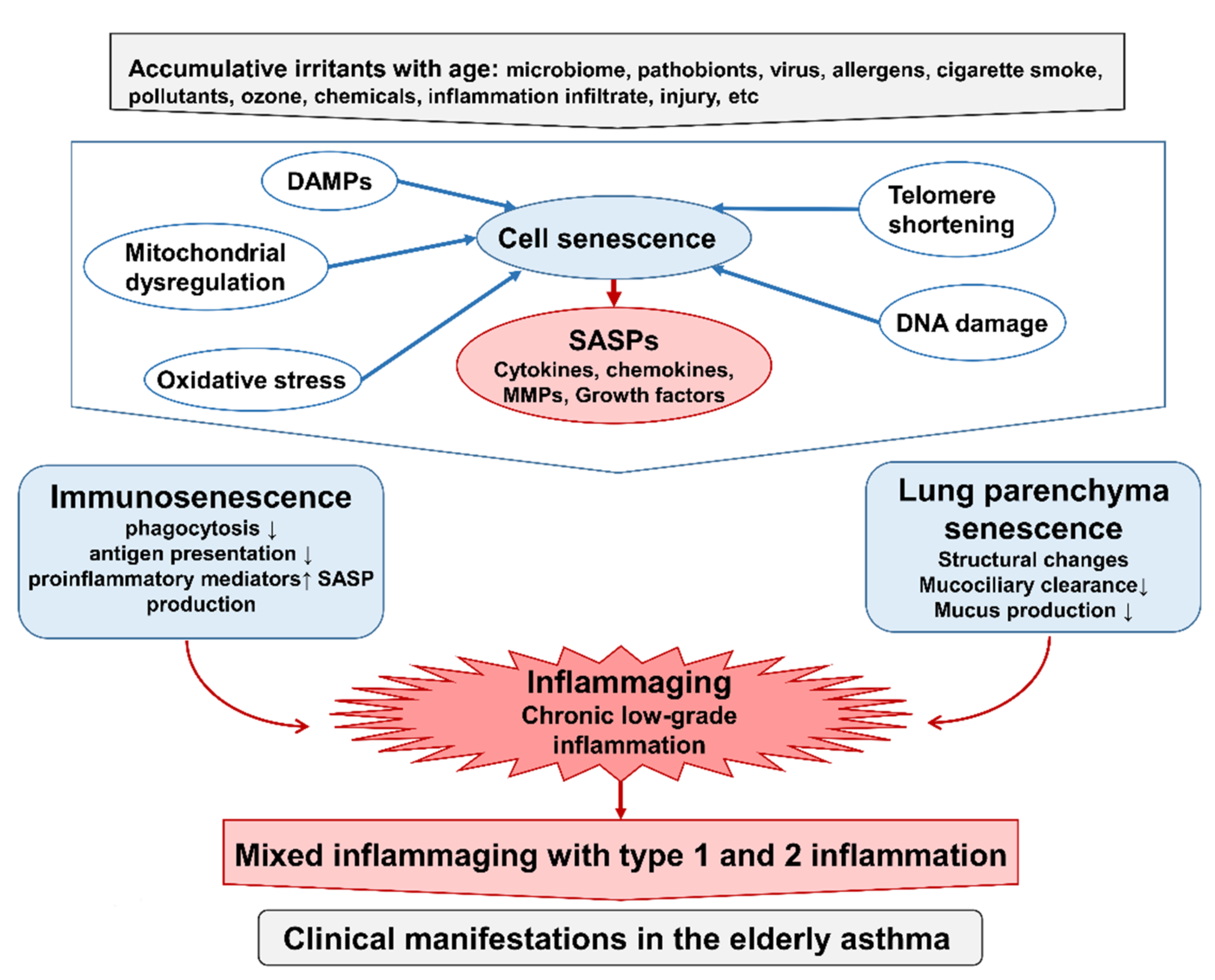 Biomolecules 12 01456 g001