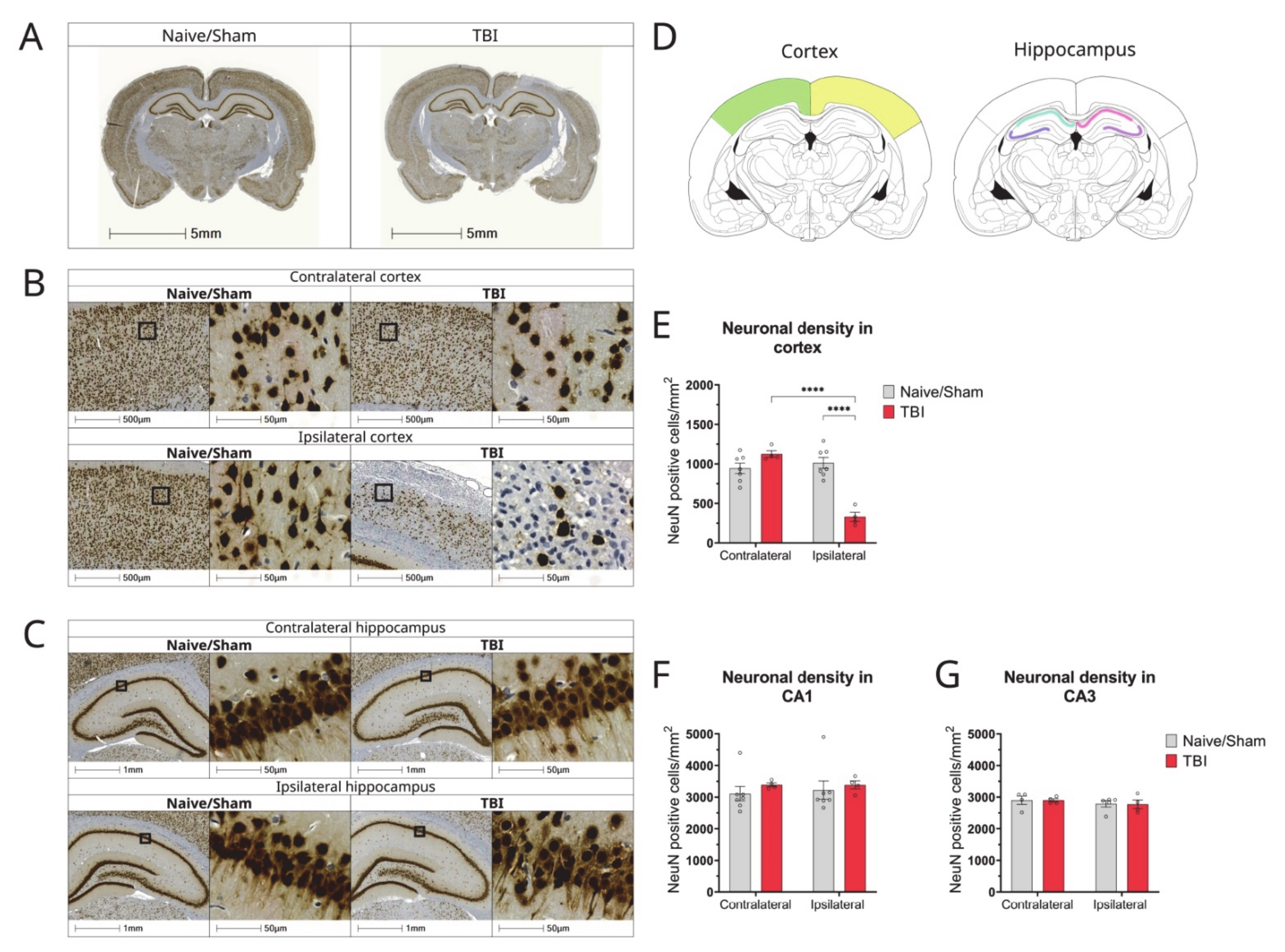Biomolecules 12 01457 g005