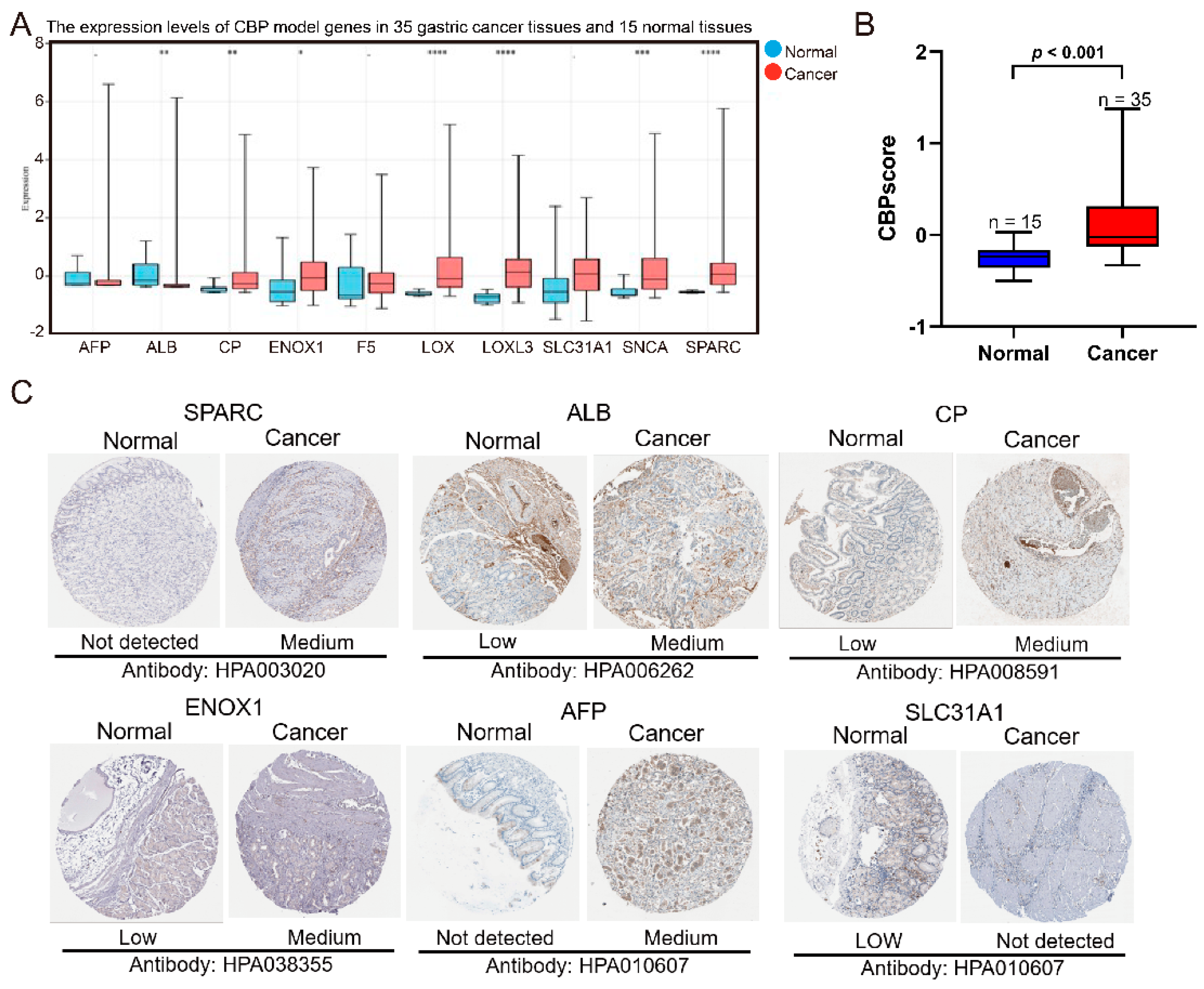 Biomolecules 12 01459 g002 Biomolecules 12 01459 g002