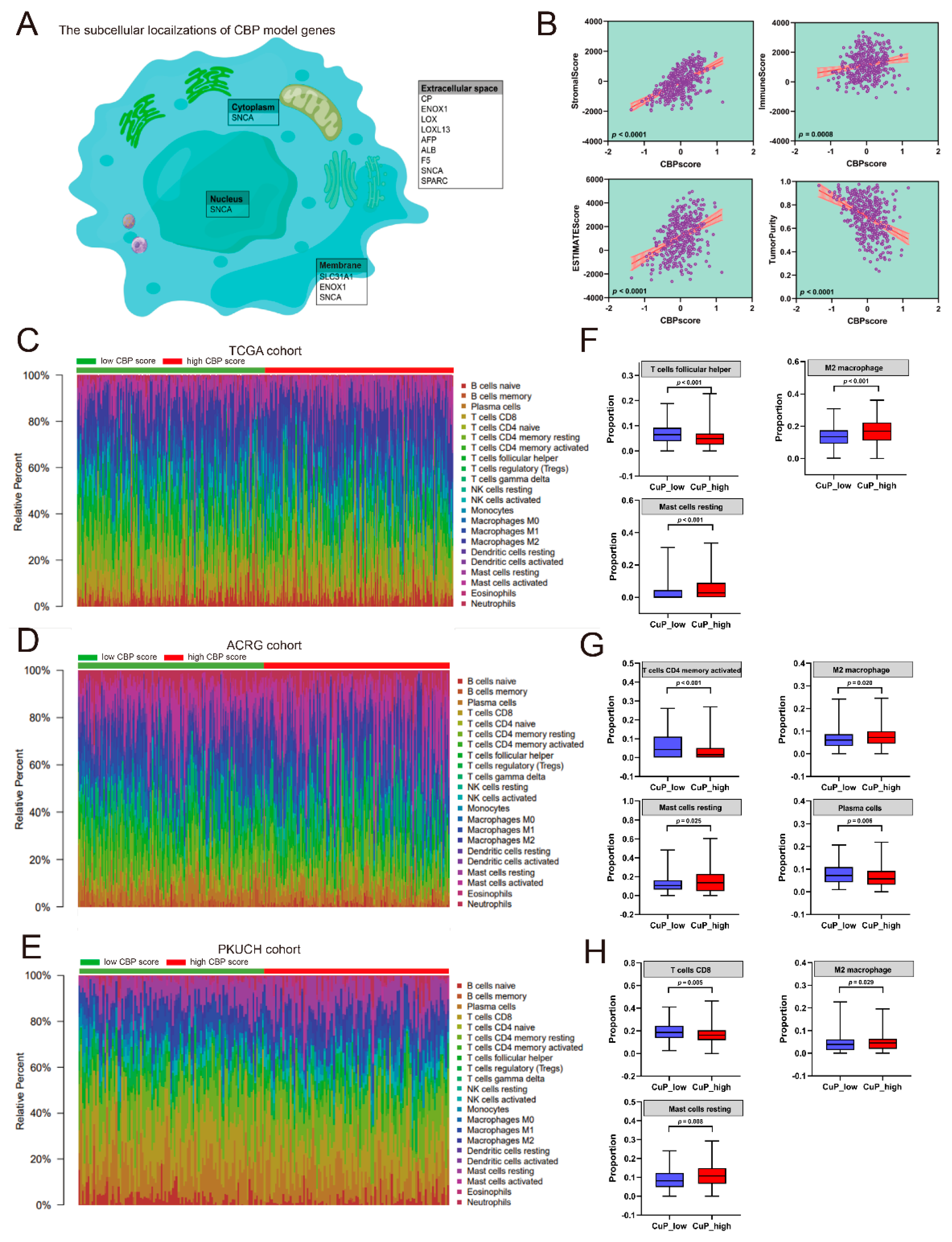Biomolecules 12 01459 g006 Biomolecules 12 01459 g006
