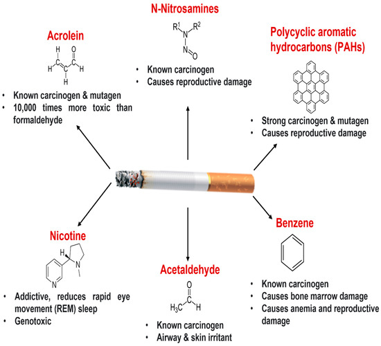 Lung Organoids in Smoking Research: Current Advances and