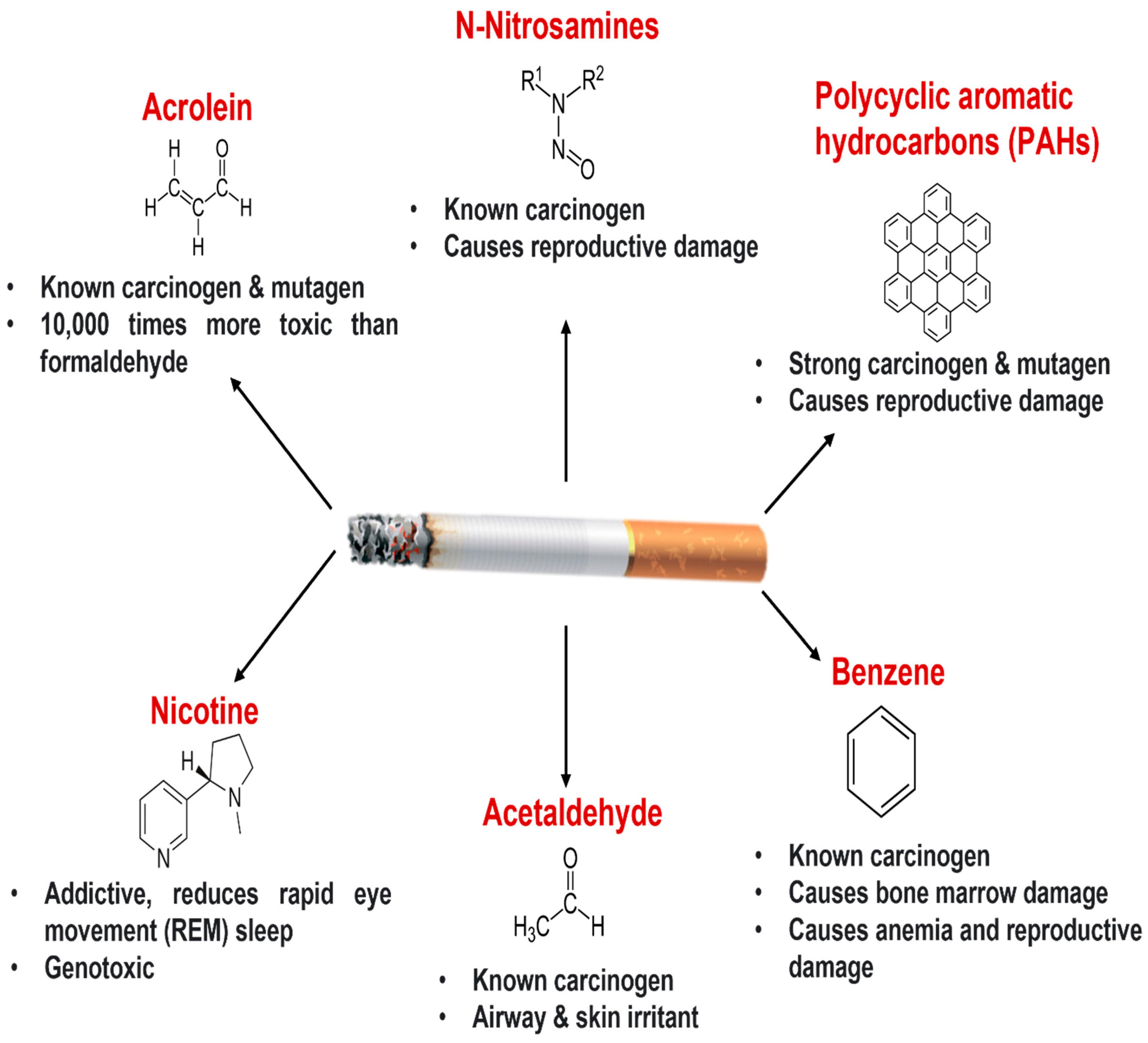 Biomolecules Free Full-Text Lung Organoids in Smoking Research Current Advances and Future Promises image