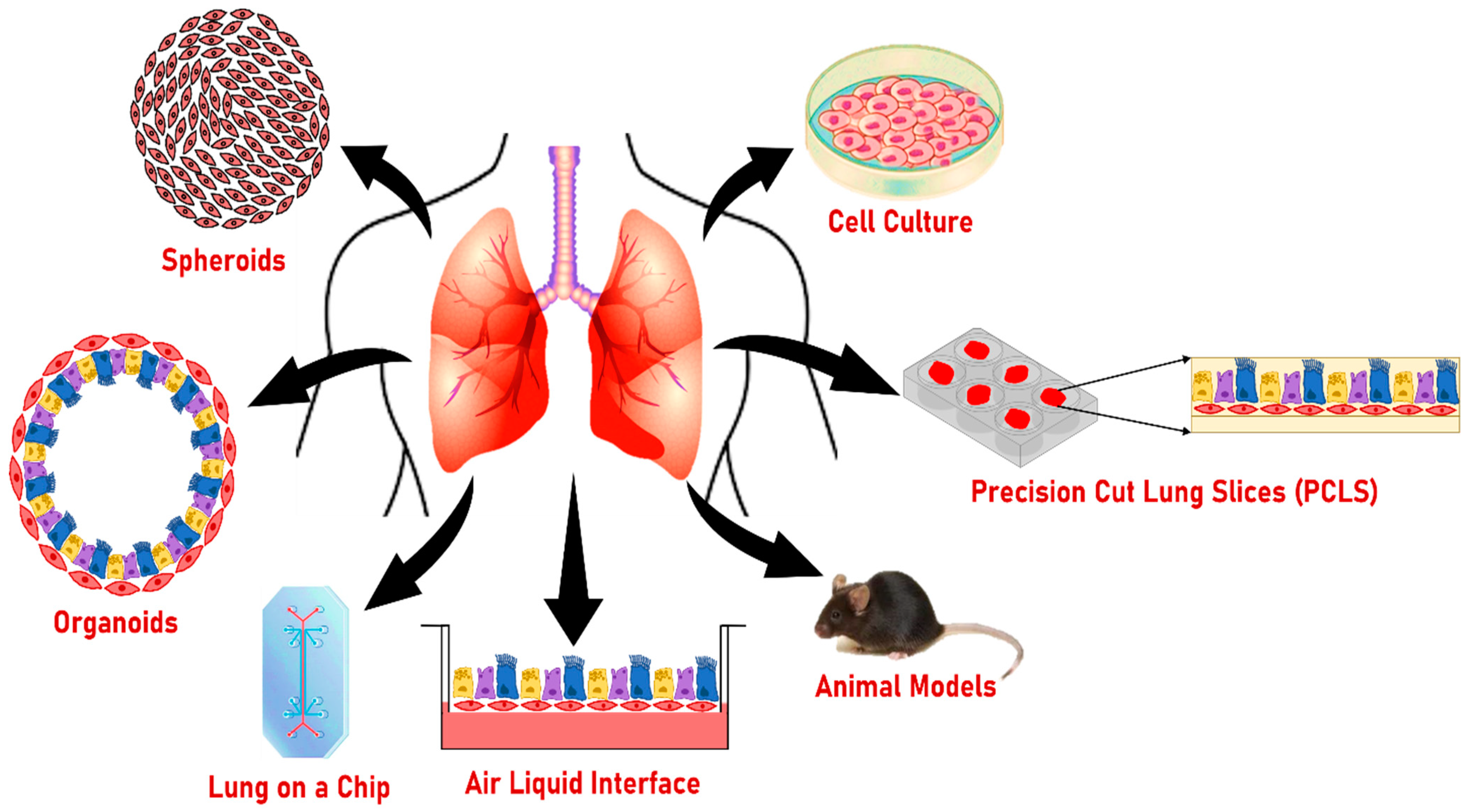 Biomolecules 12 01463 g004 Biomolecules 12 01463 g004