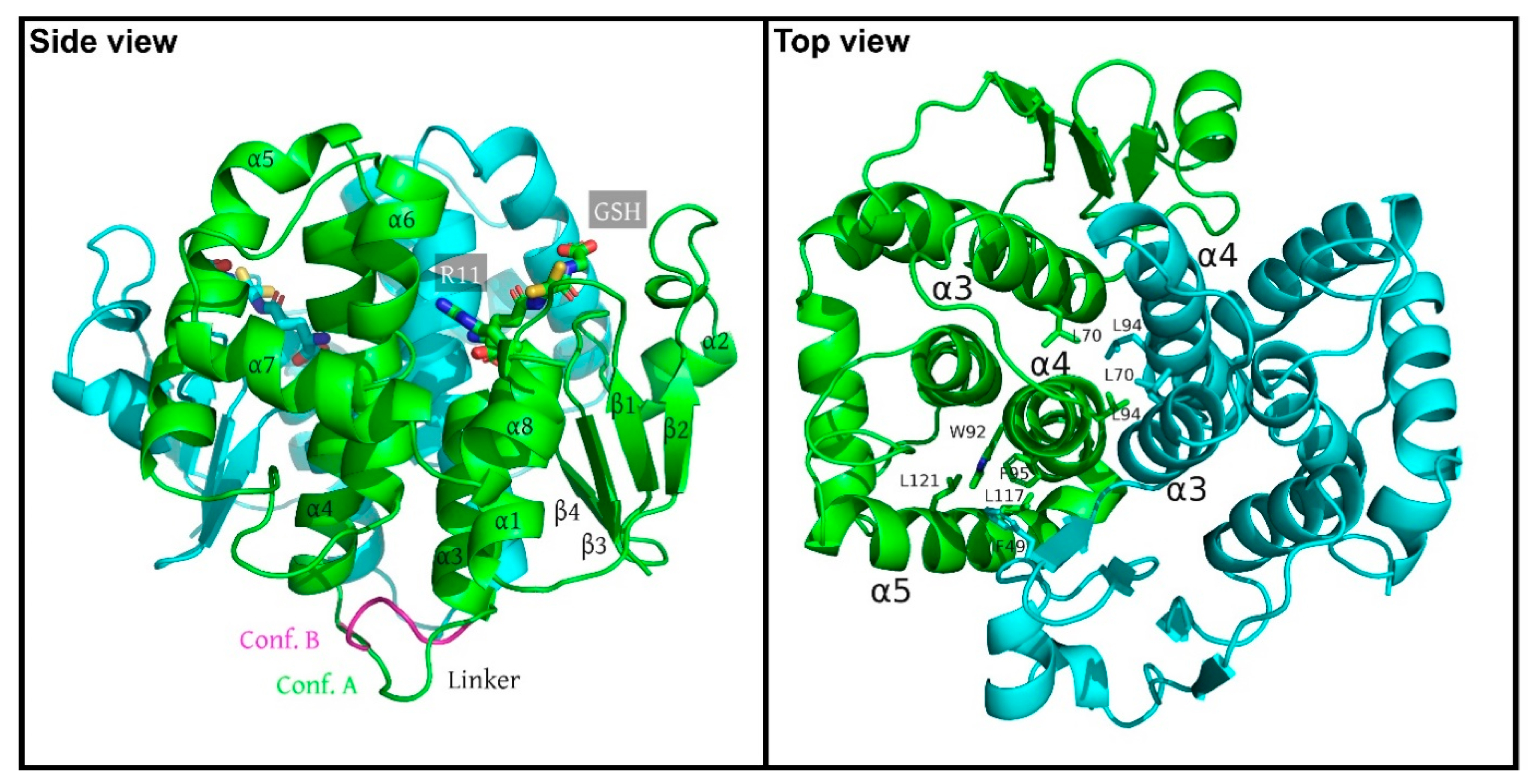 Biomolecules 12 01466 g001 Biomolecules 12 01466 g001