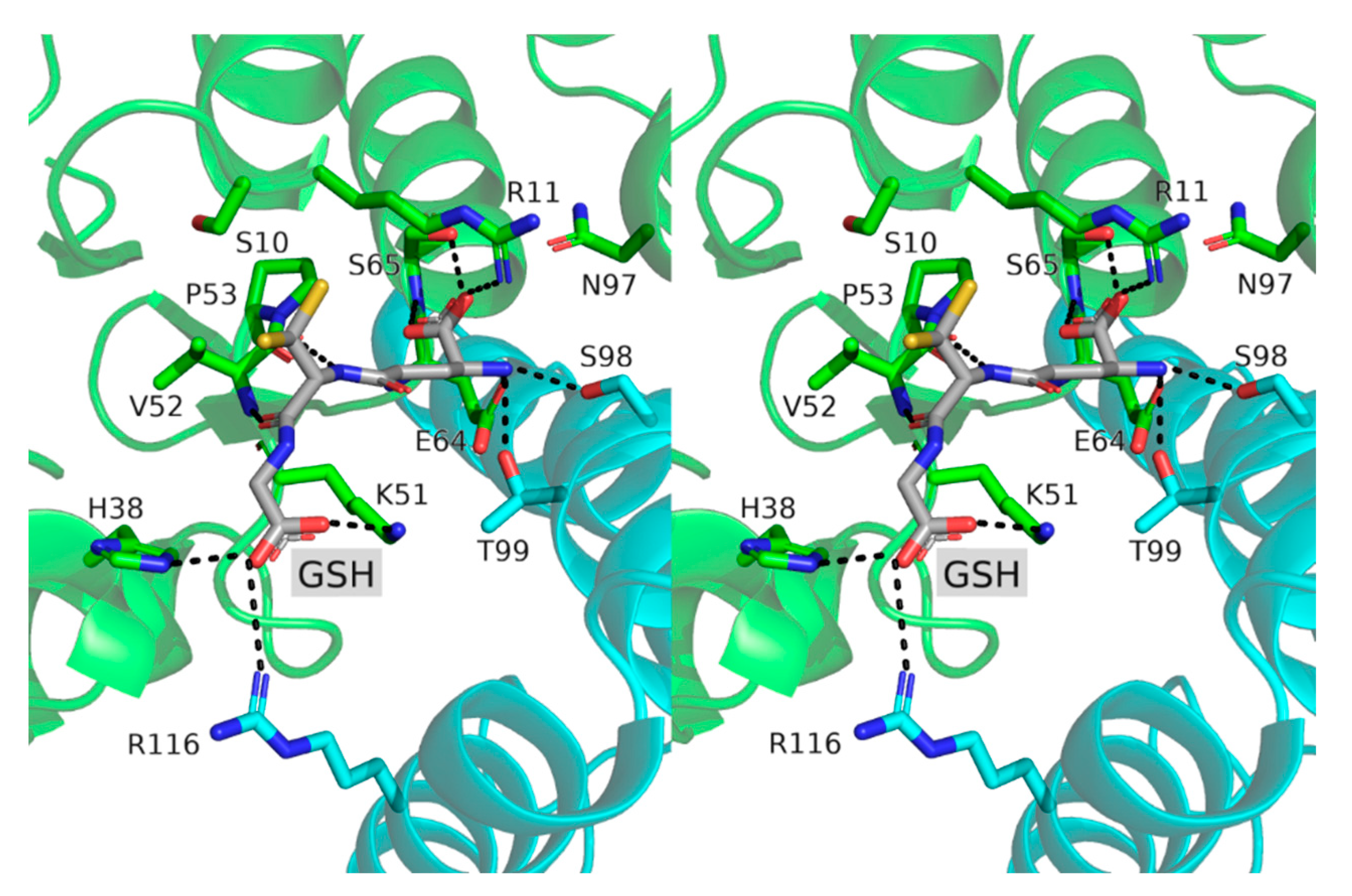Biomolecules 12 01466 g003 Biomolecules 12 01466 g003