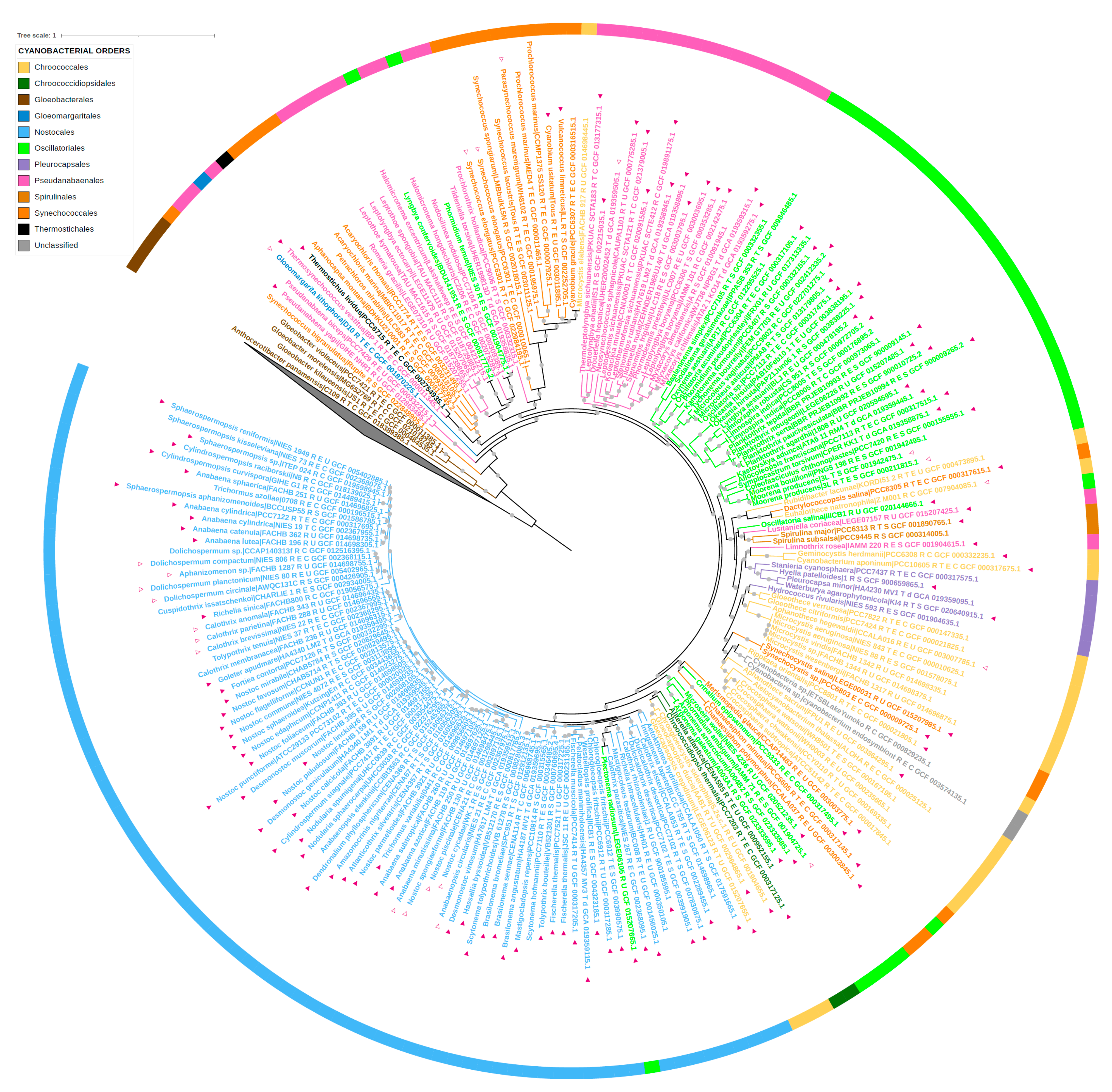 Biomolecules 12 01466 g005 Biomolecules 12 01466 g005