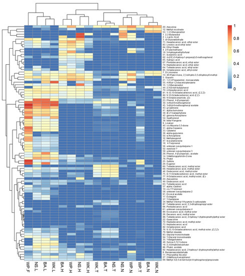 Biomolecules | Free Full-Text | Metabolomic Profile of Indonesian Betel ...