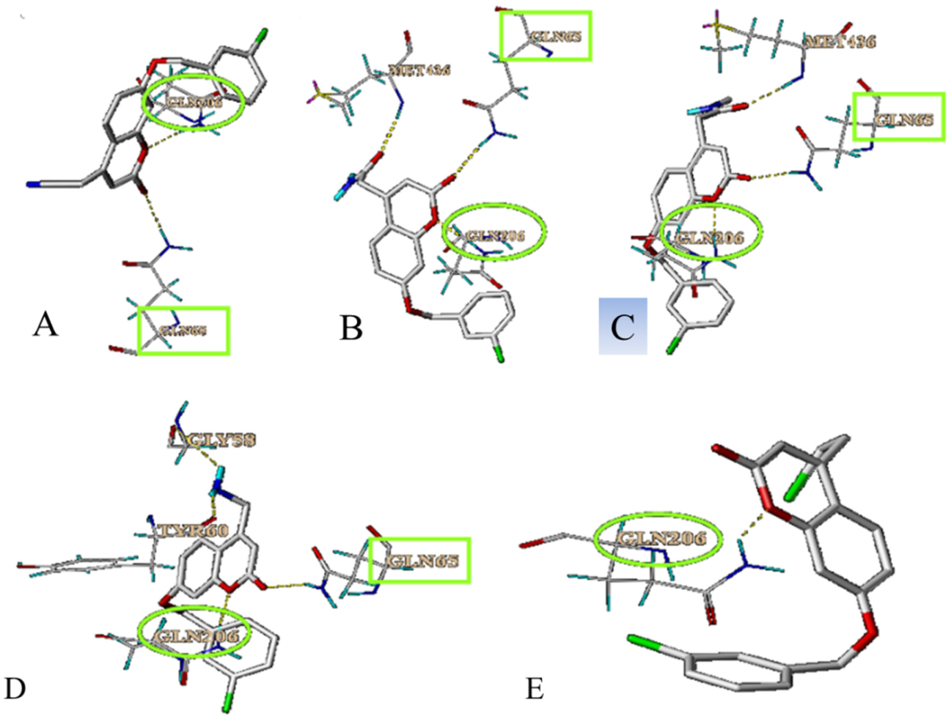 Biomolecules 12 01470 g005