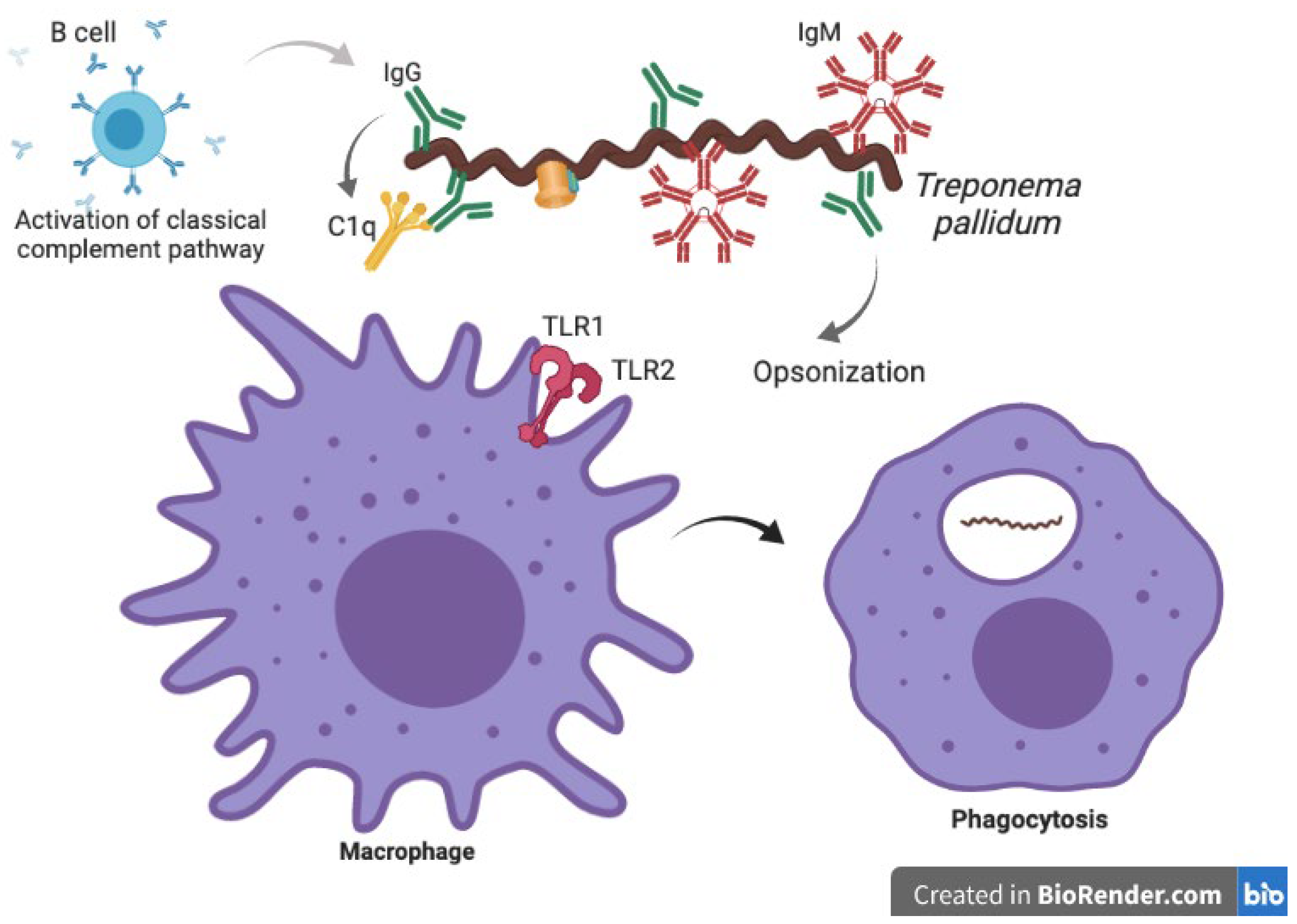 Biomolecules 12 01472 g002