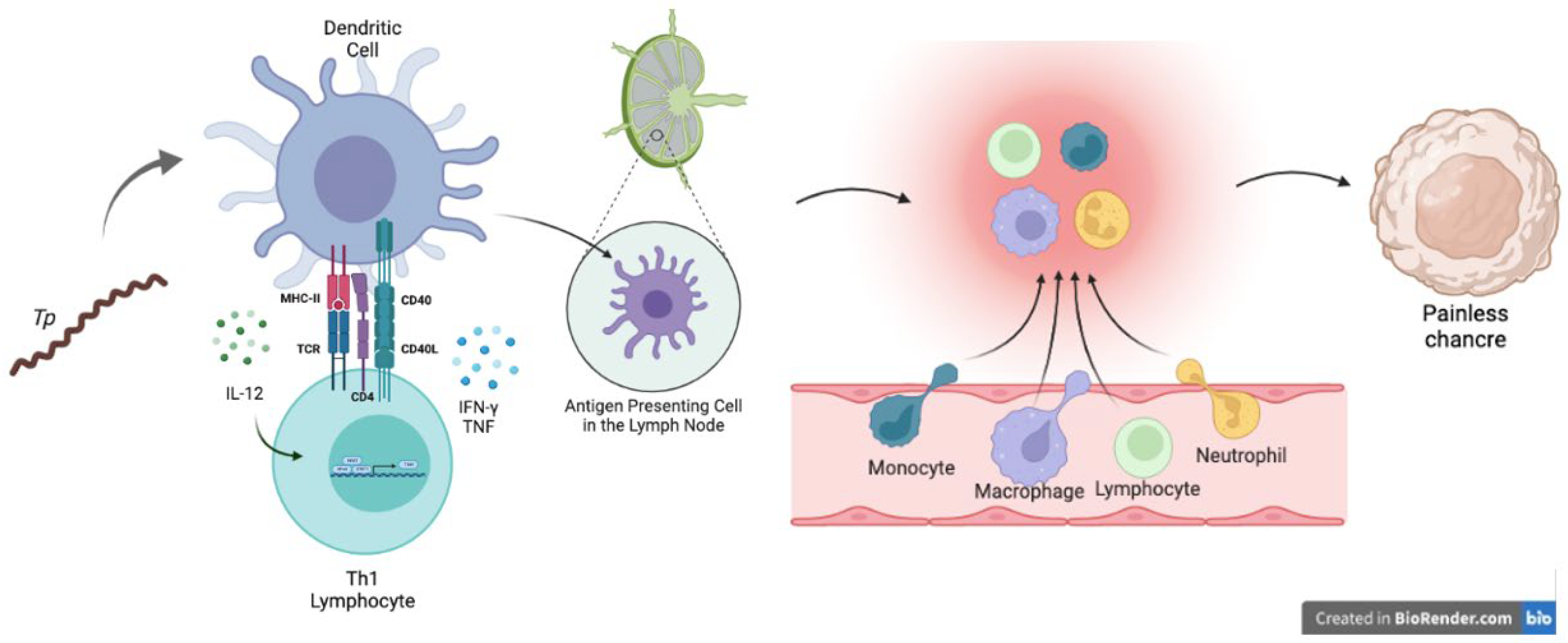 Biomolecules 12 01472 g003