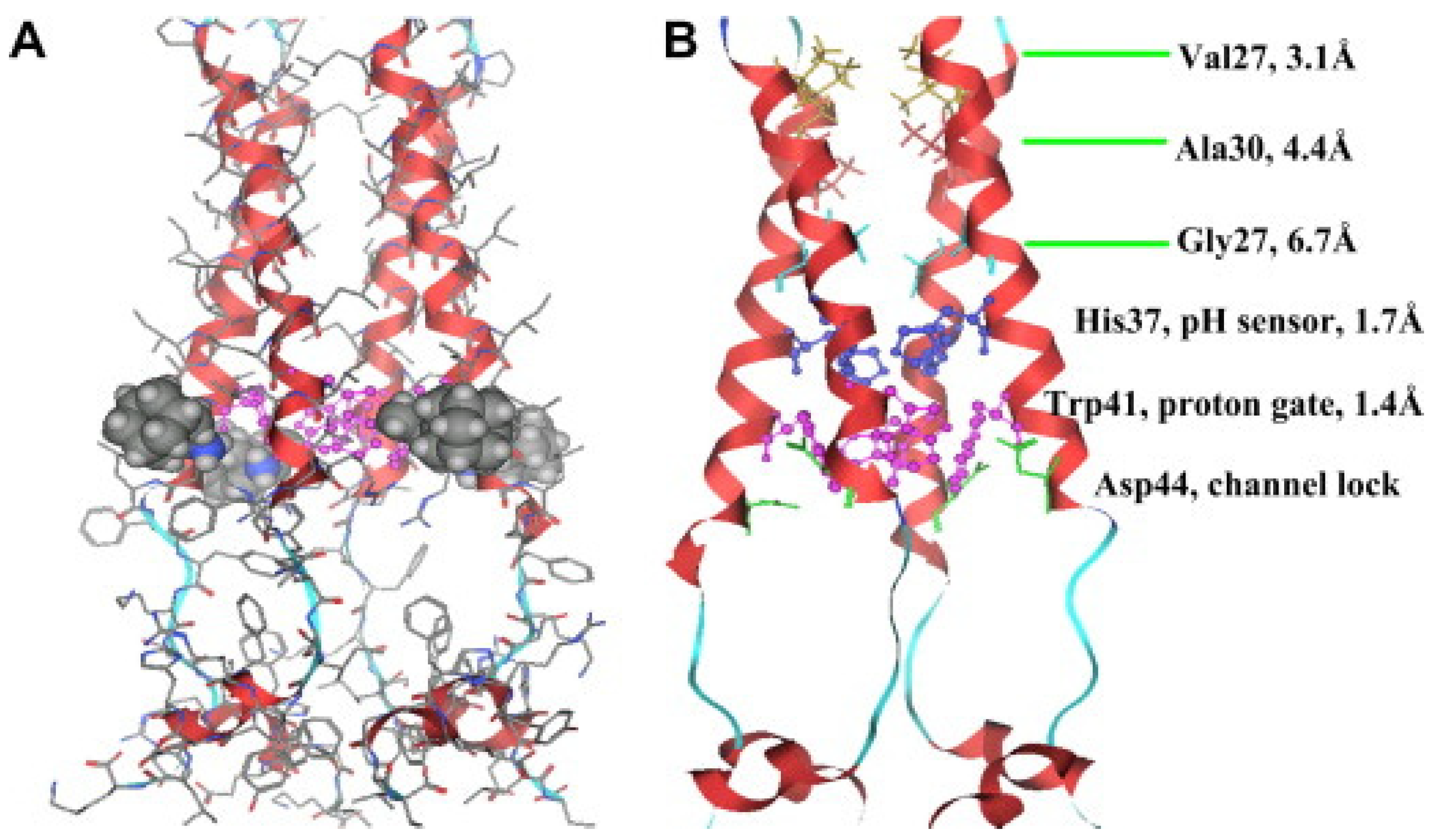 Biomolecules 12 01473 g005