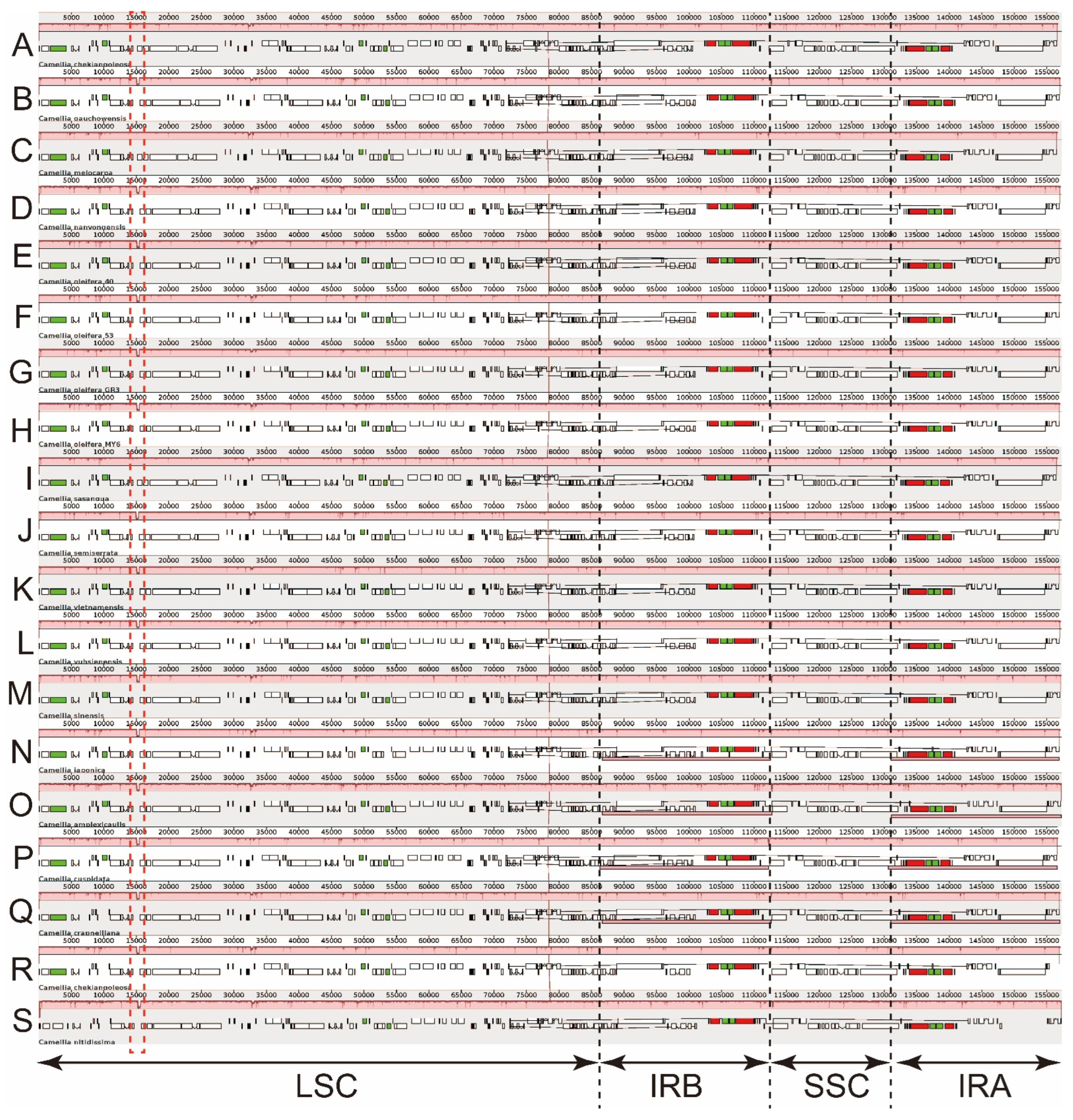 Biomolecules 12 01474 g005 Biomolecules 12 01474 g005