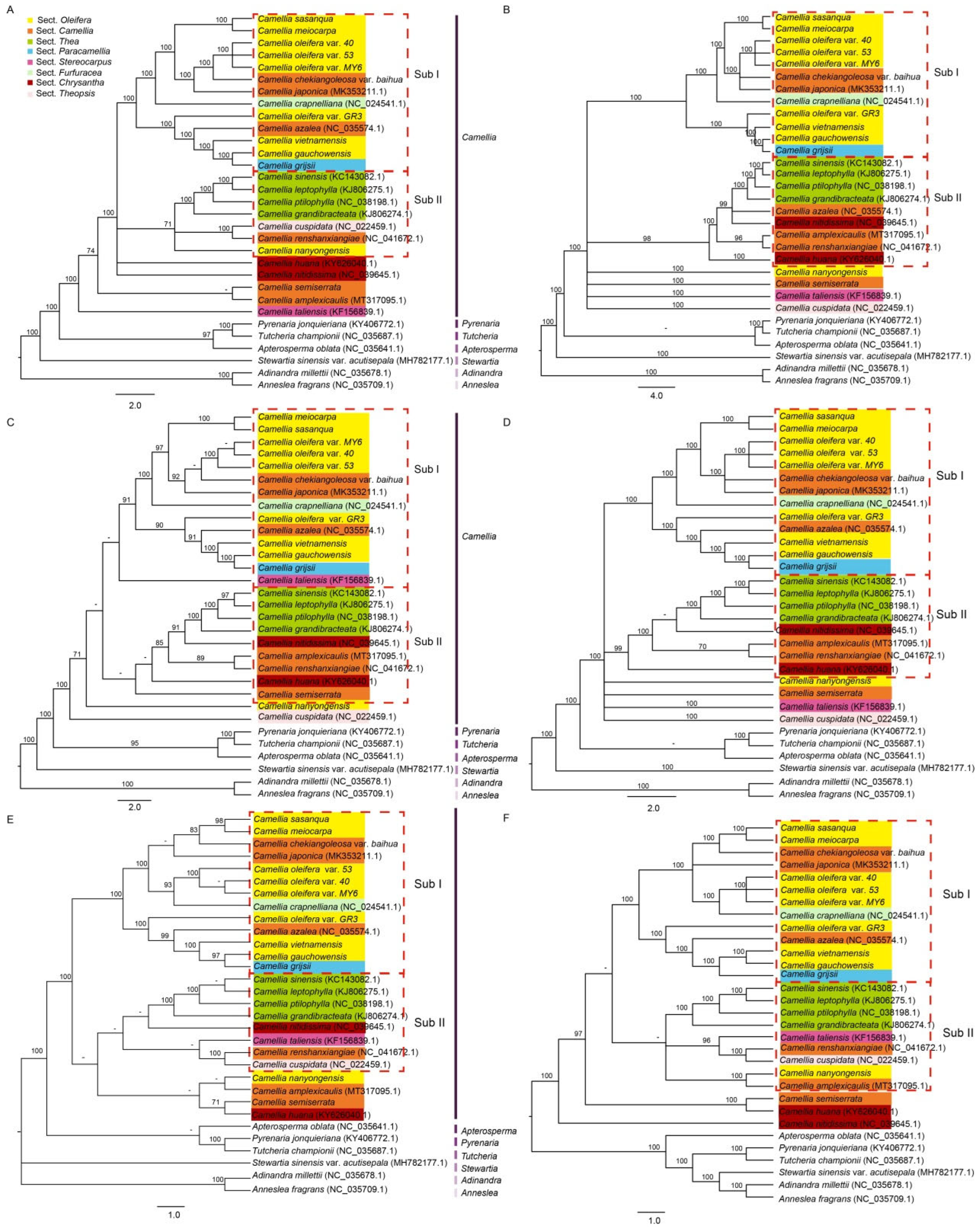 Comparative Genomic Analysis Uncovers the Chloroplast Genome