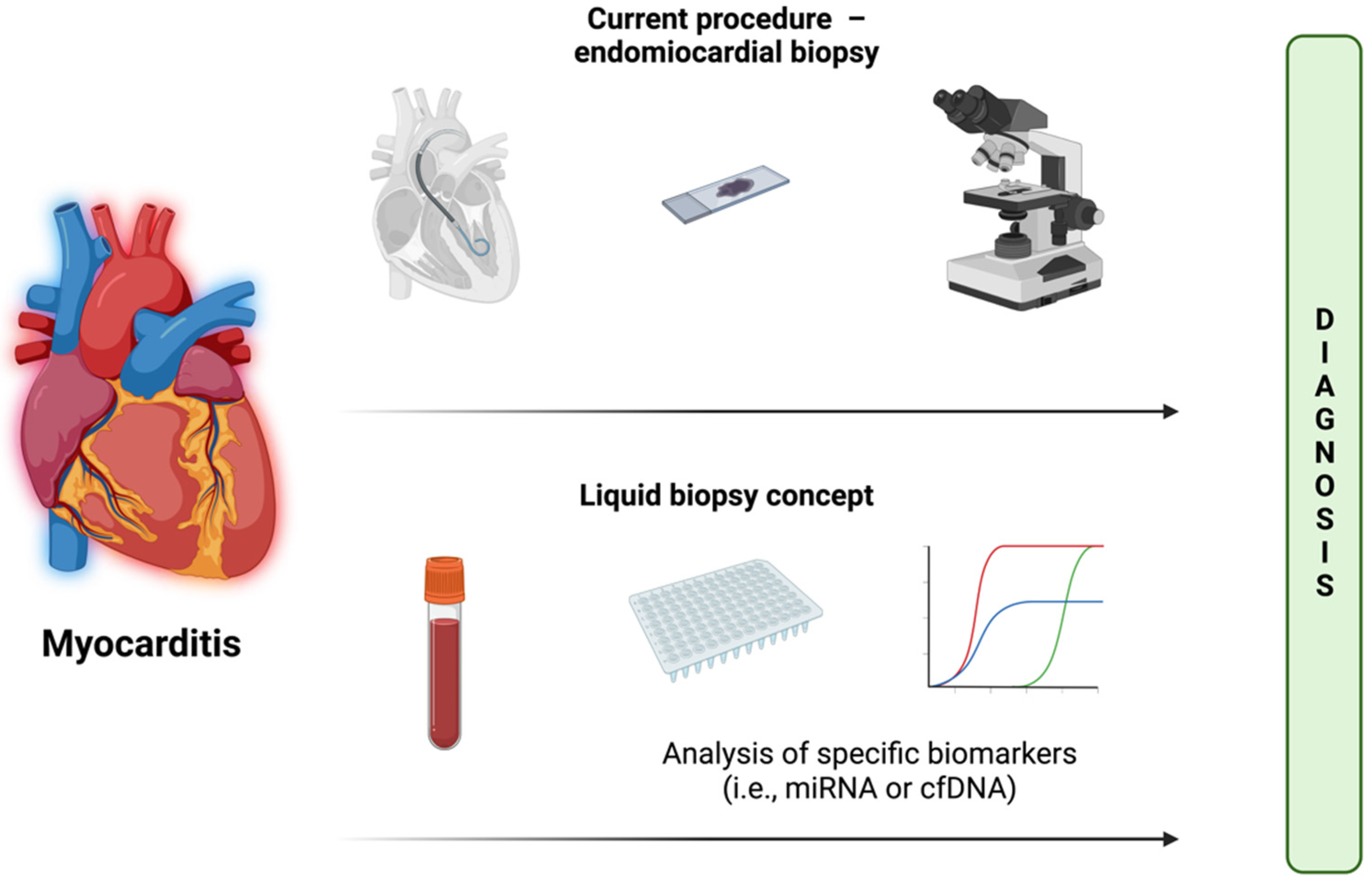 Biomolecules 12 01476 g001 Biomolecules 12 01476 g001