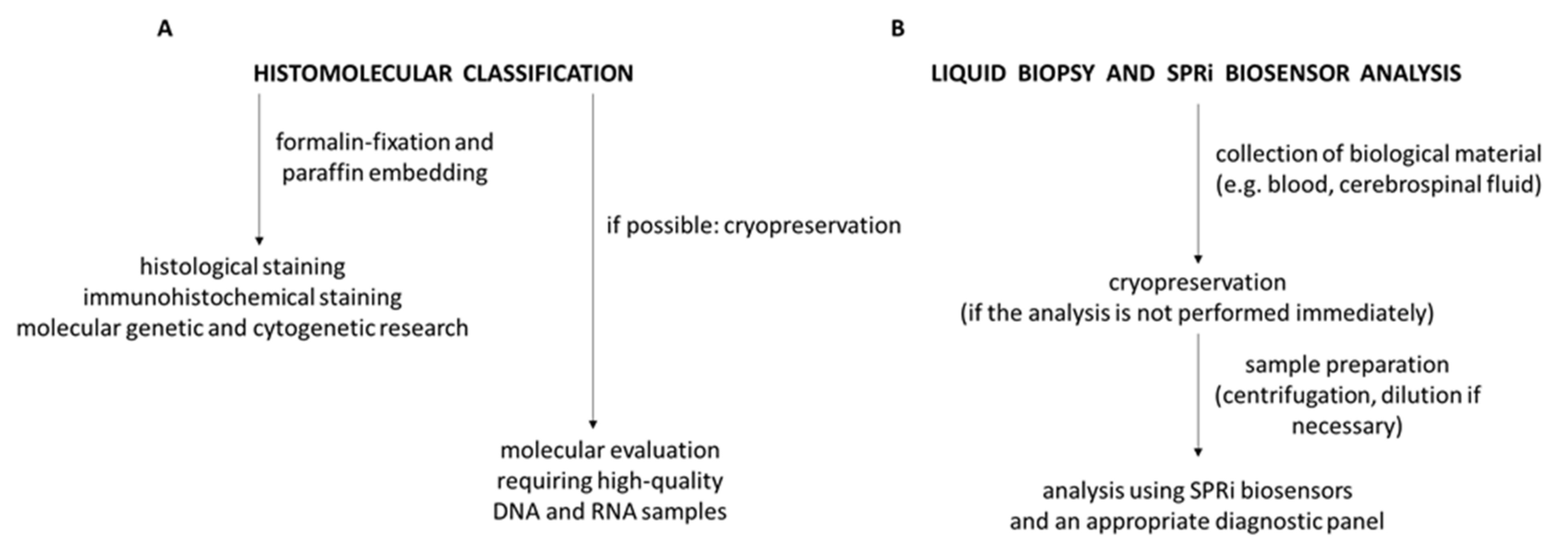 Biomolecules 12 01477 g001
