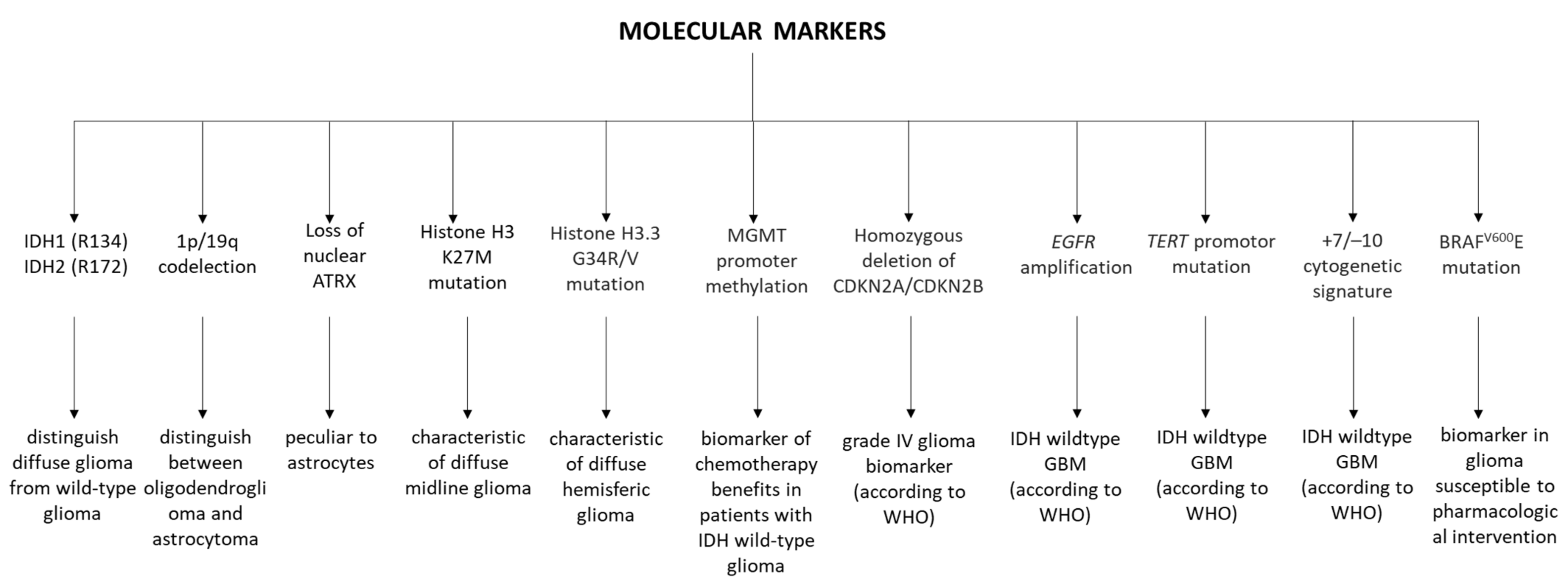 Biomolecules 12 01477 g002