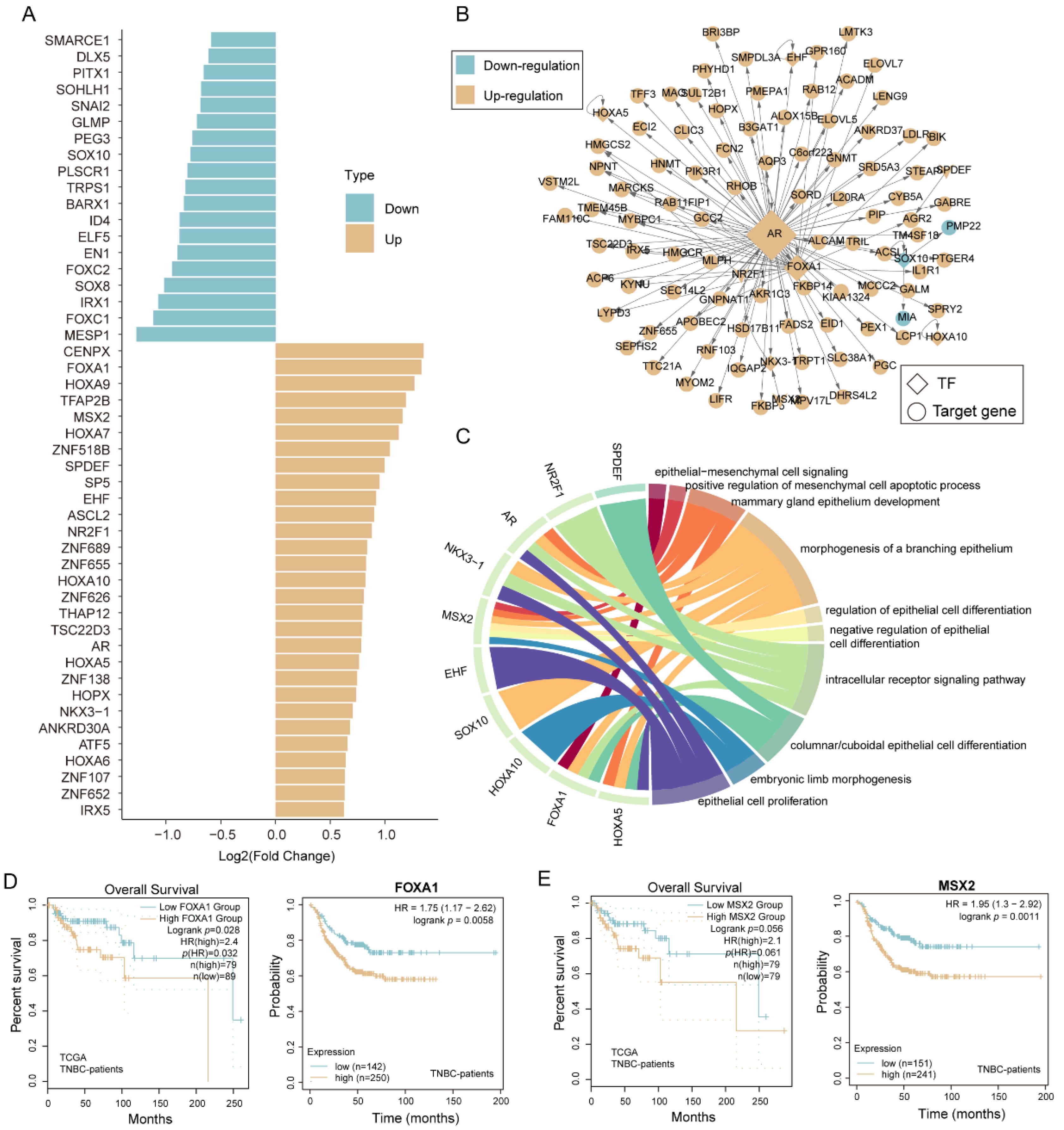 Biomolecules 12 01478 g005 Biomolecules 12 01478 g005