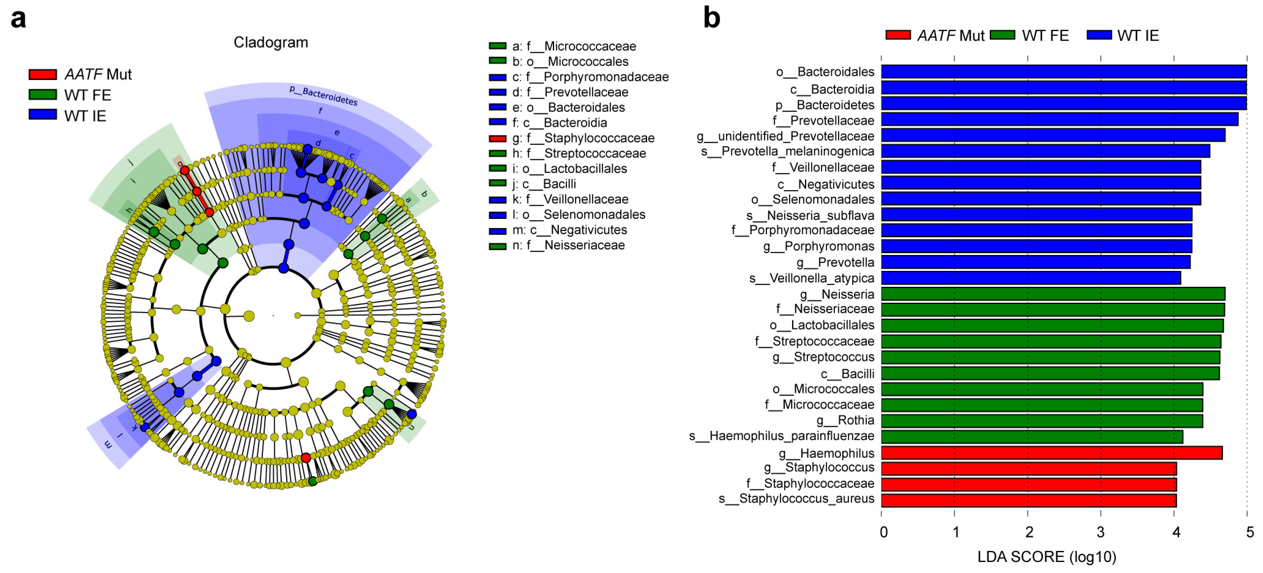 Biomolecules 12 01481 g005