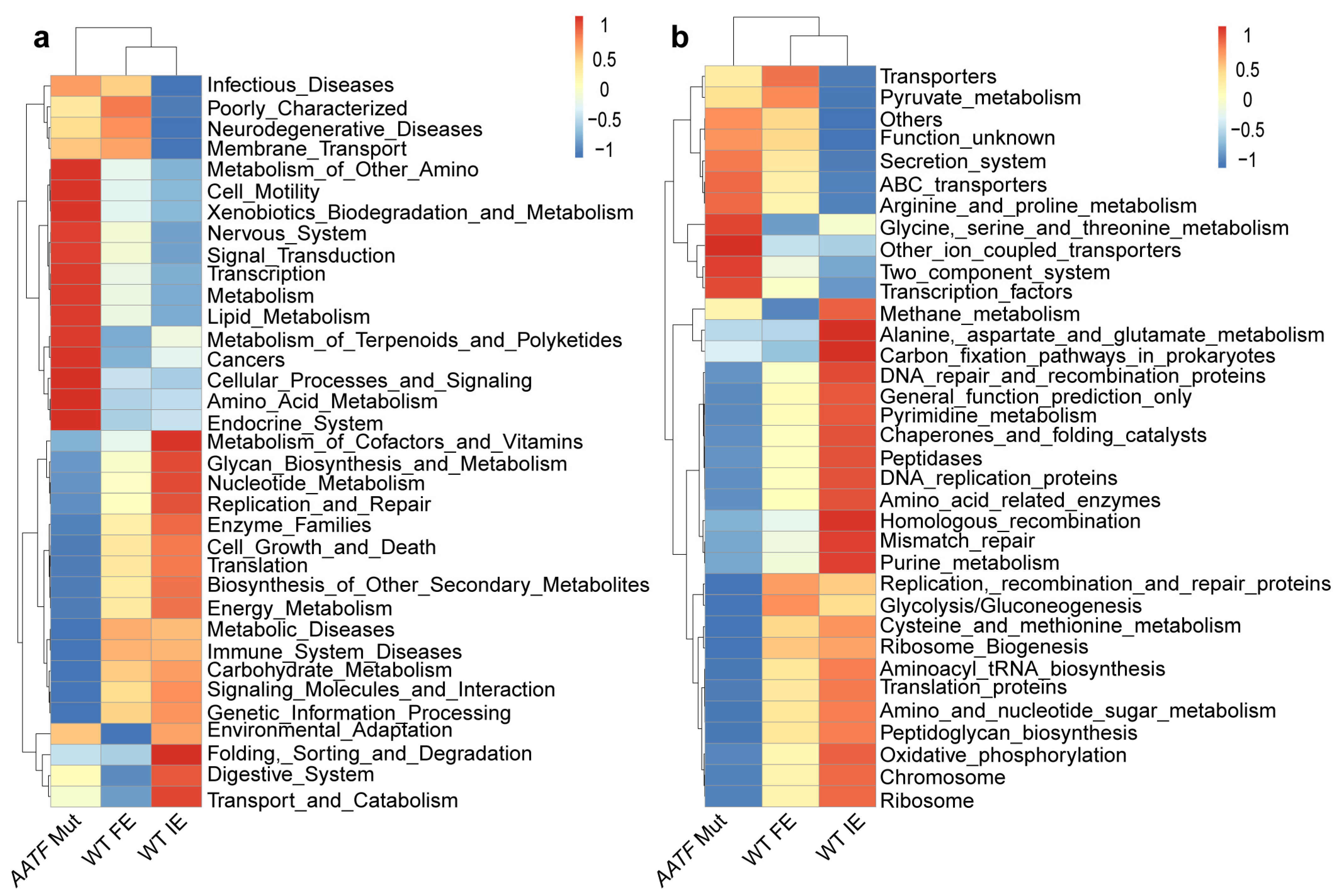 Biomolecules 12 01481 g006