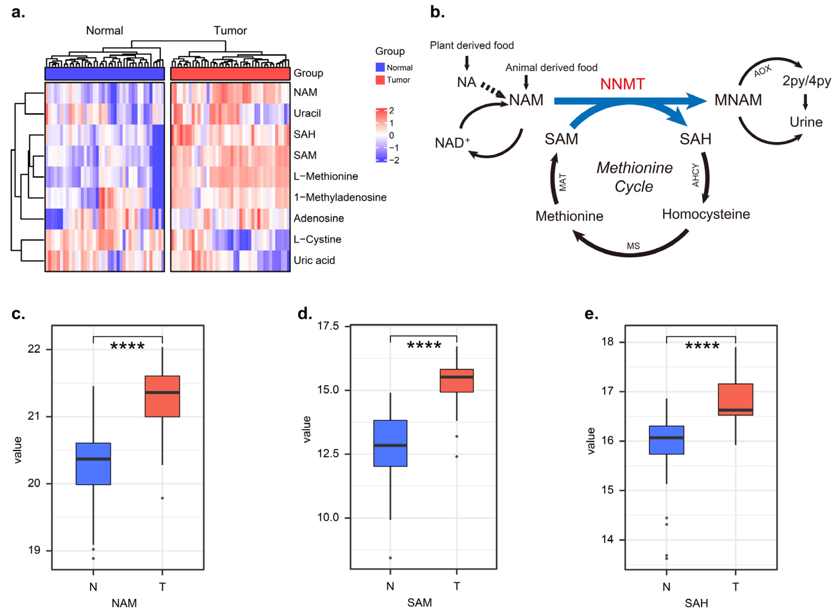 Biomolecules 12 01487 g001