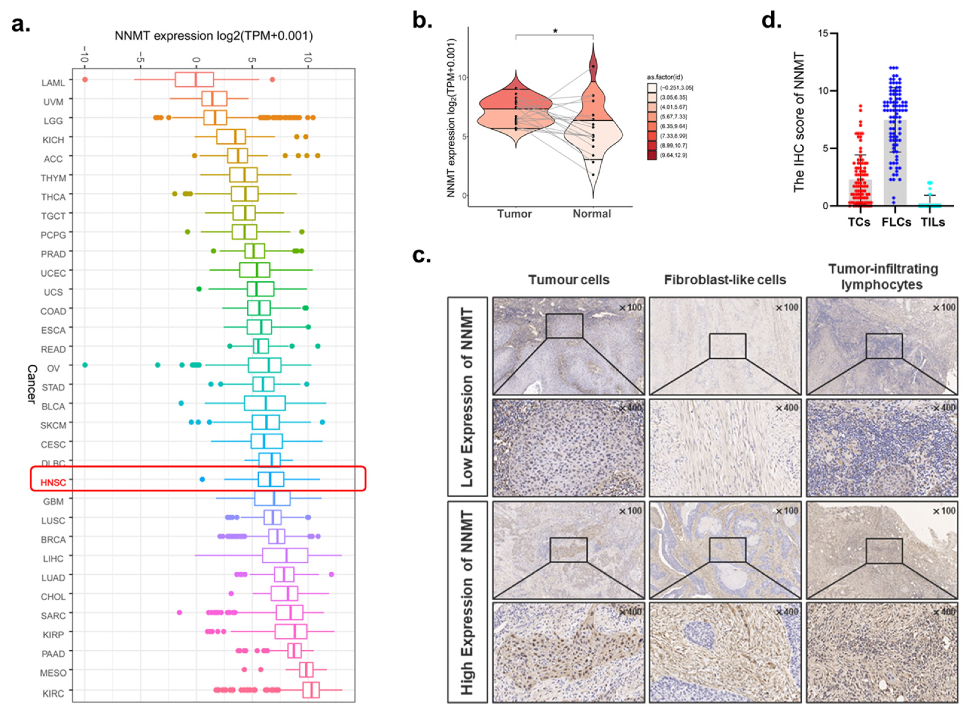 Biomolecules 12 01487 g002