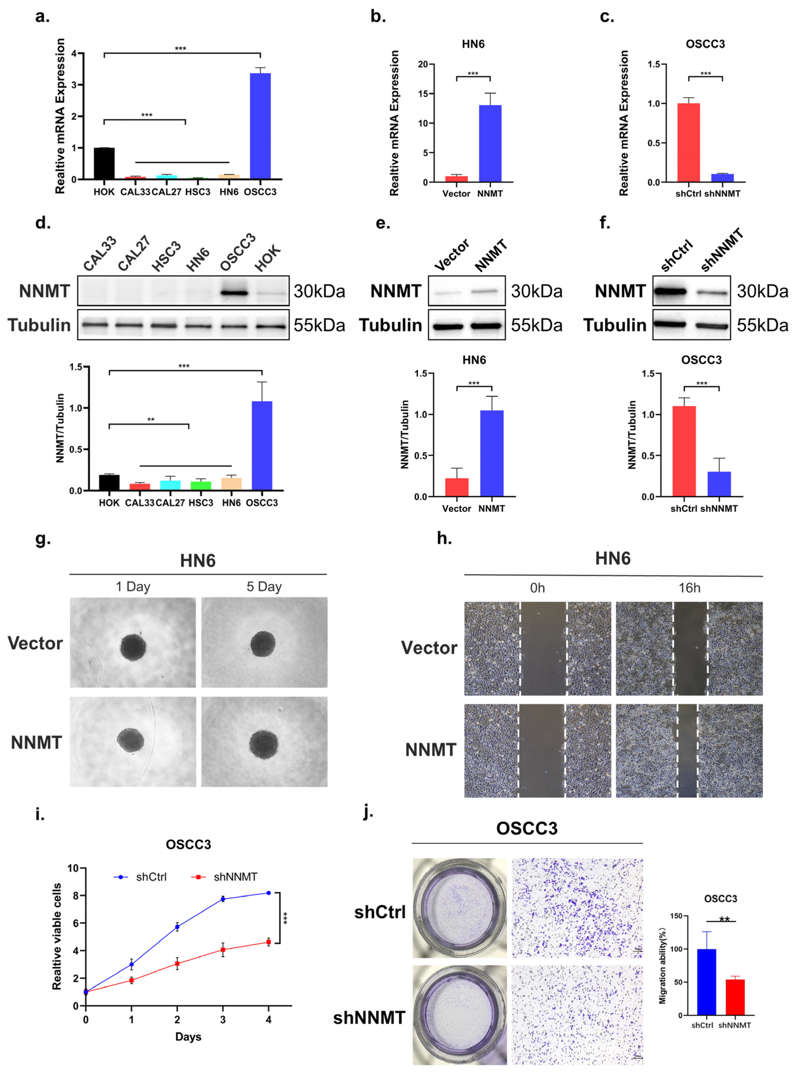 Biomolecules 12 01487 g005