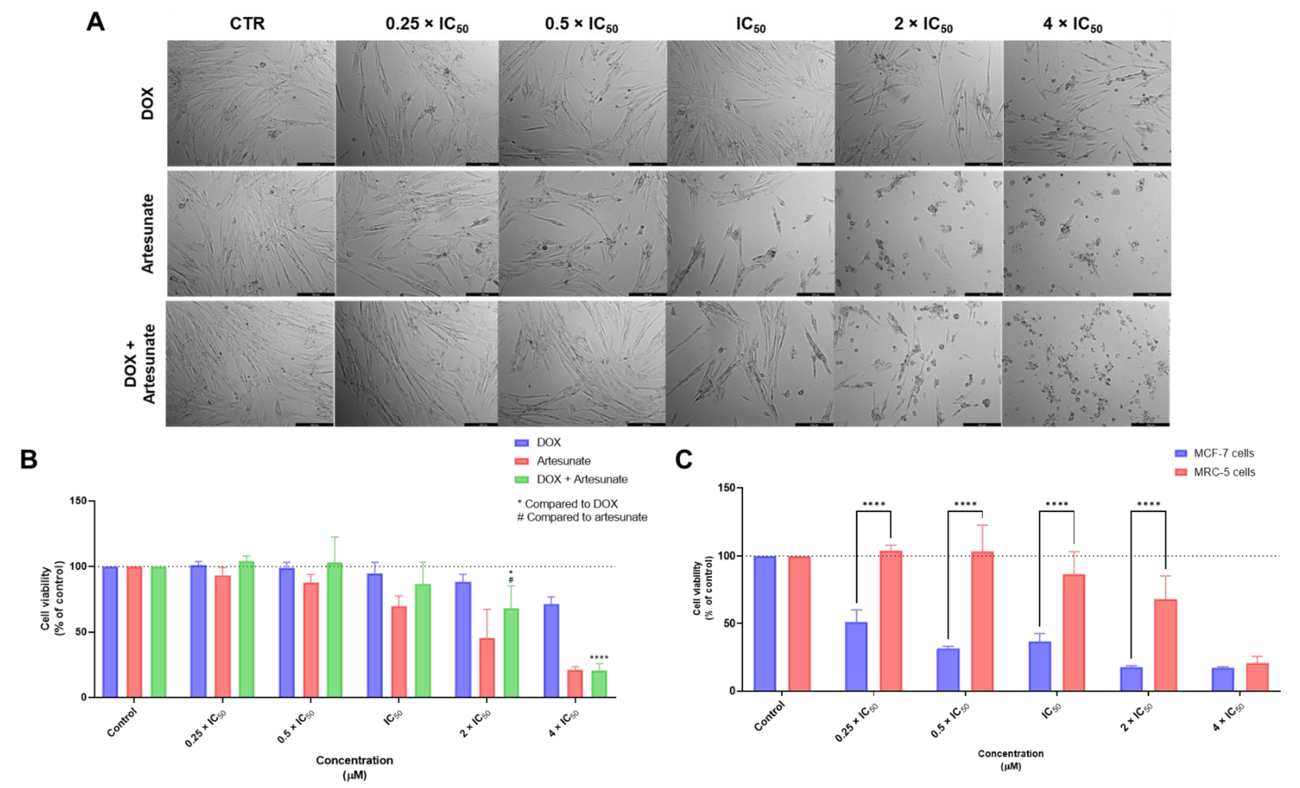 Biomolecules 12 01490 g004 Biomolecules 12 01490 g004