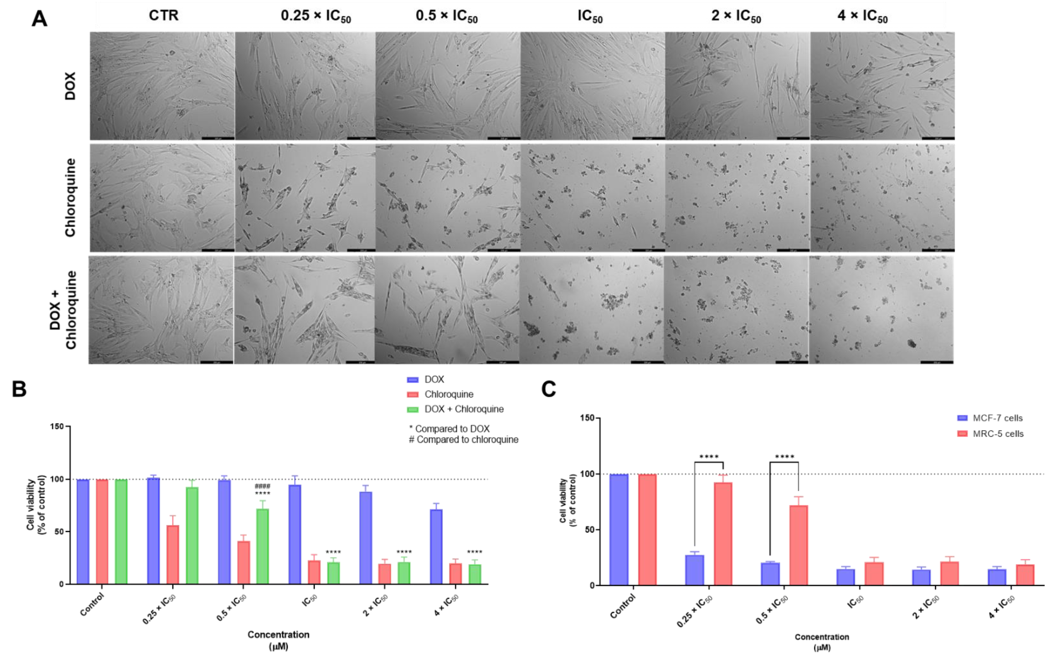 Biomolecules 12 01490 g005 Biomolecules 12 01490 g005