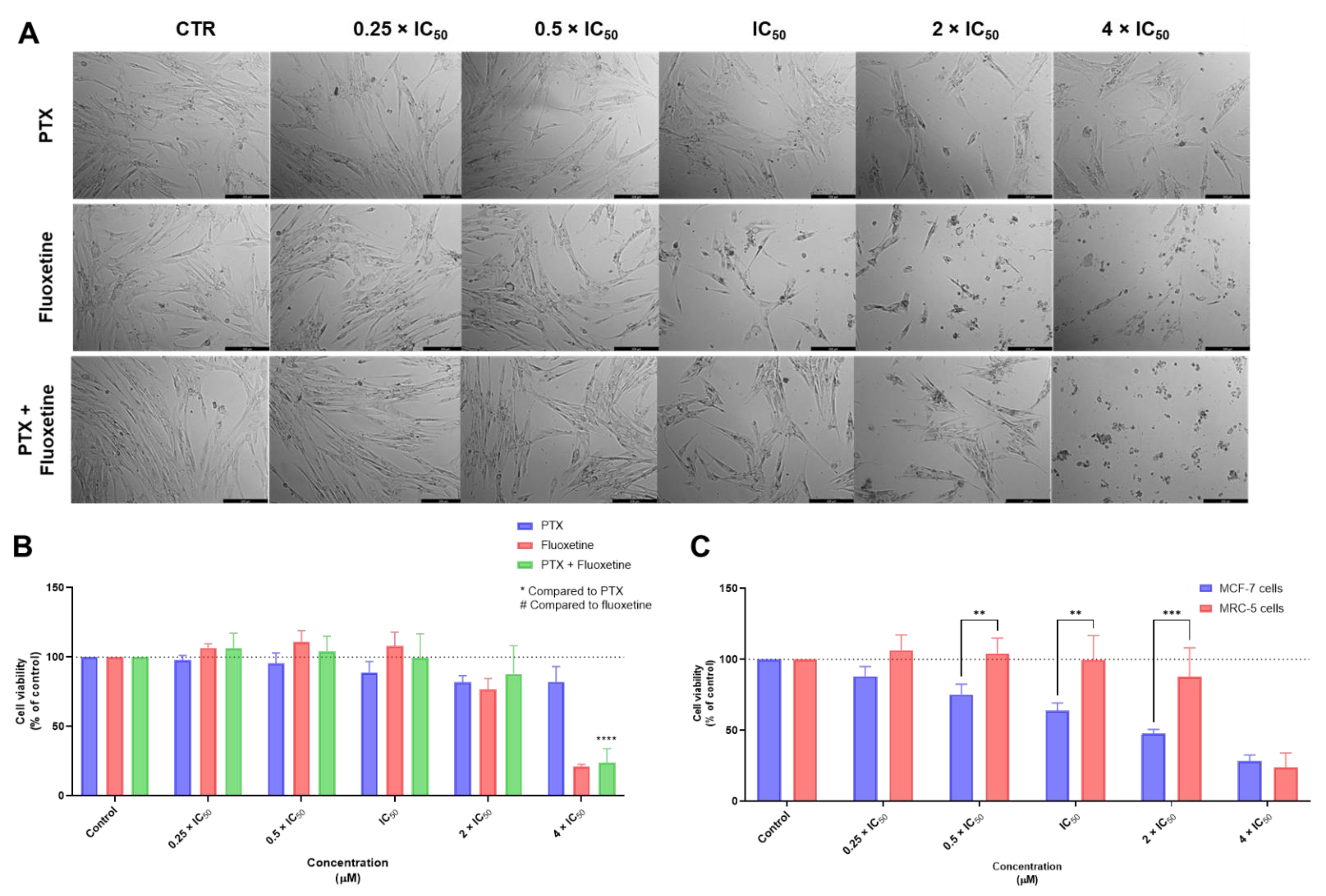 Biomolecules 12 01490 g006 Biomolecules 12 01490 g006