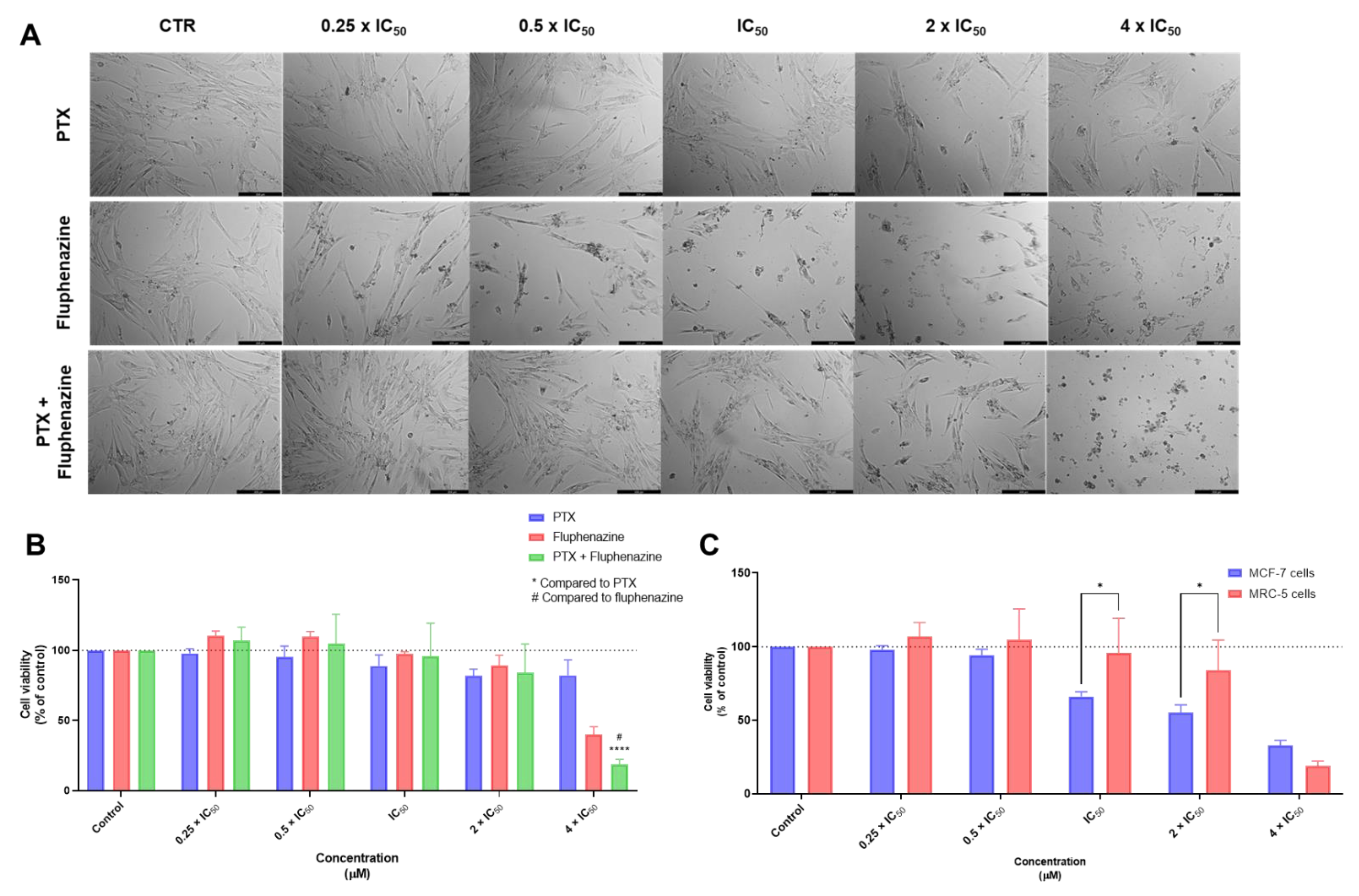 Biomolecules 12 01490 g007 Biomolecules 12 01490 g007