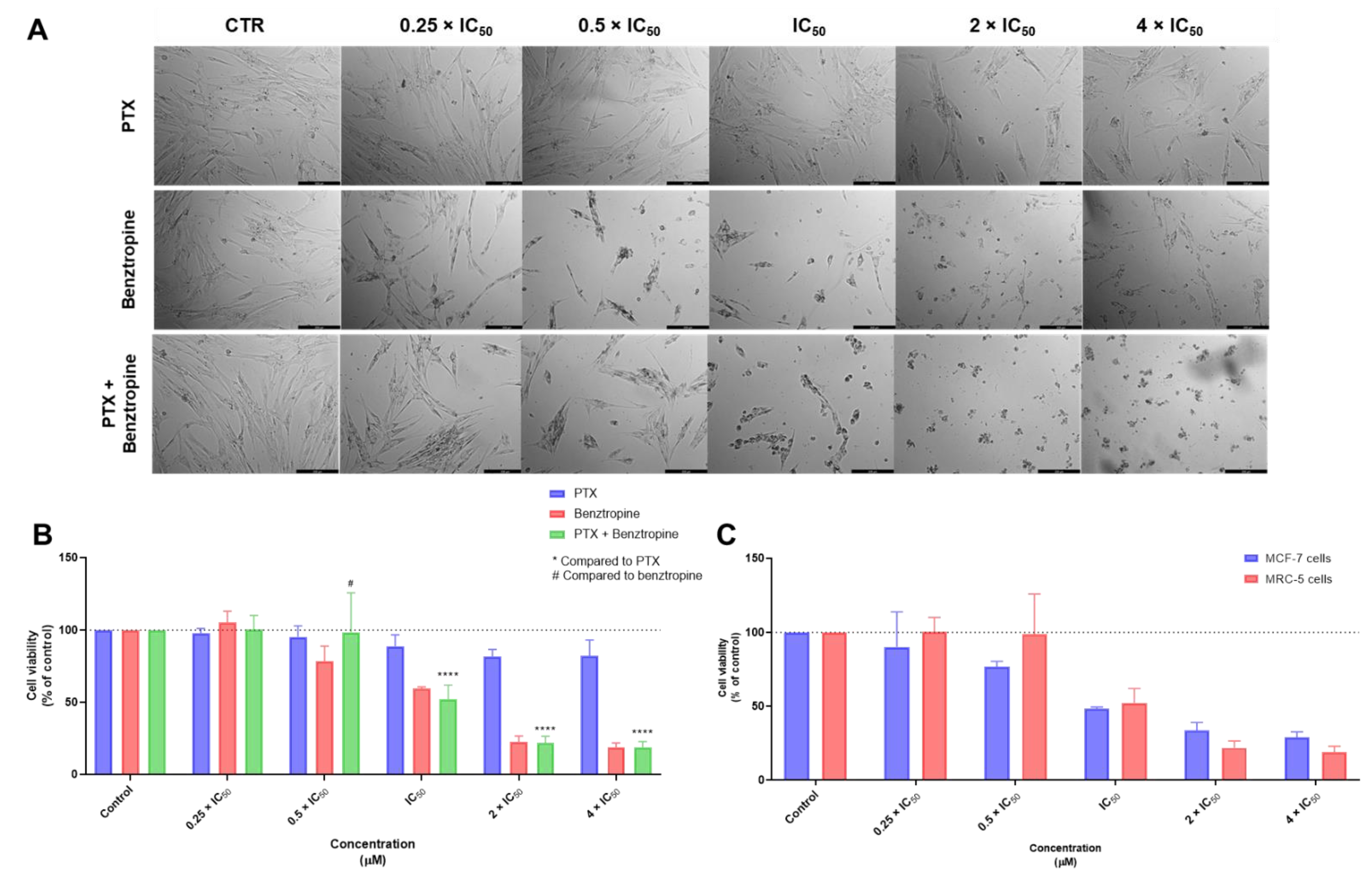 Biomolecules 12 01490 g008 Biomolecules 12 01490 g008