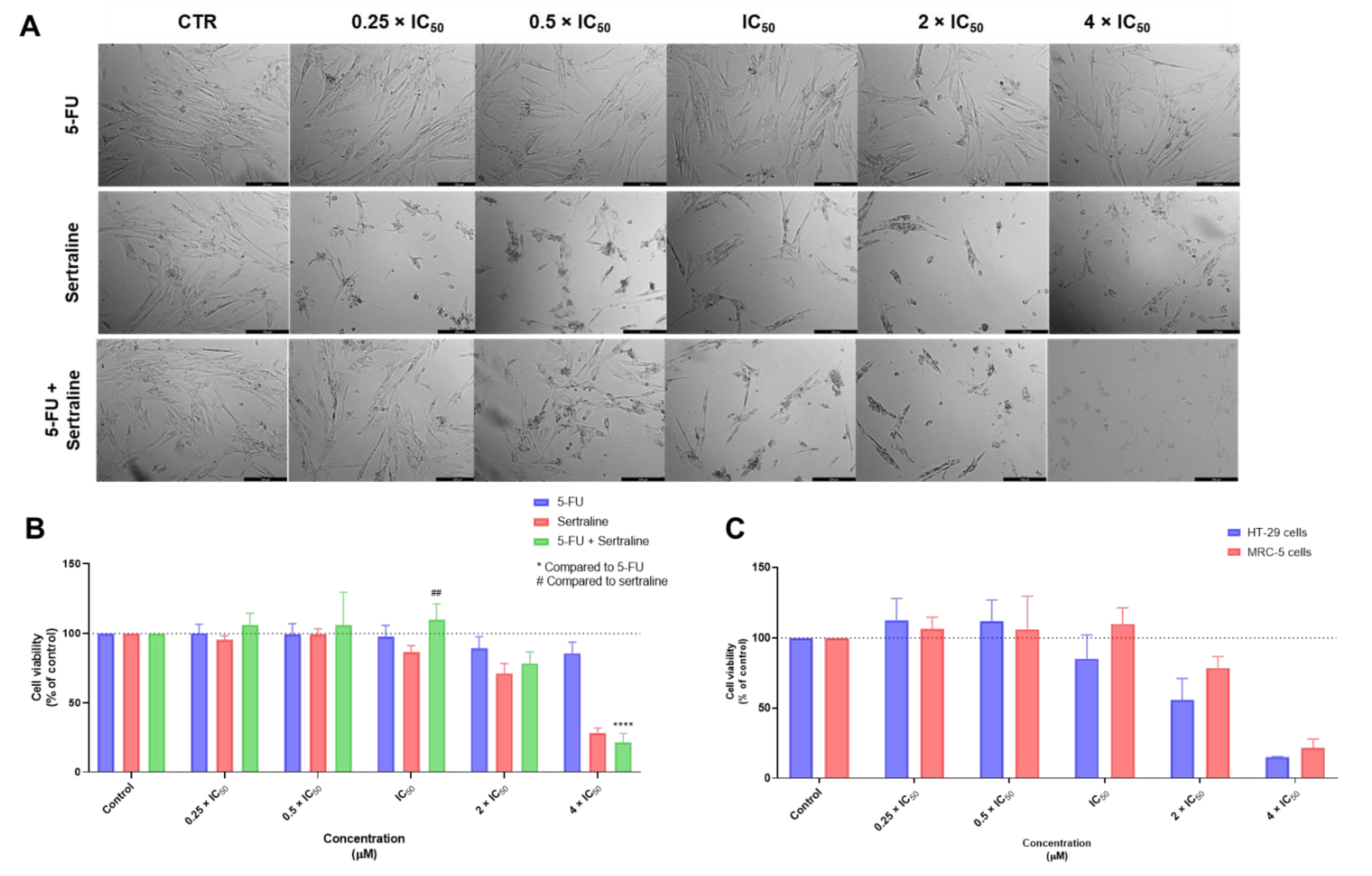 Biomolecules 12 01490 g010 Biomolecules 12 01490 g010