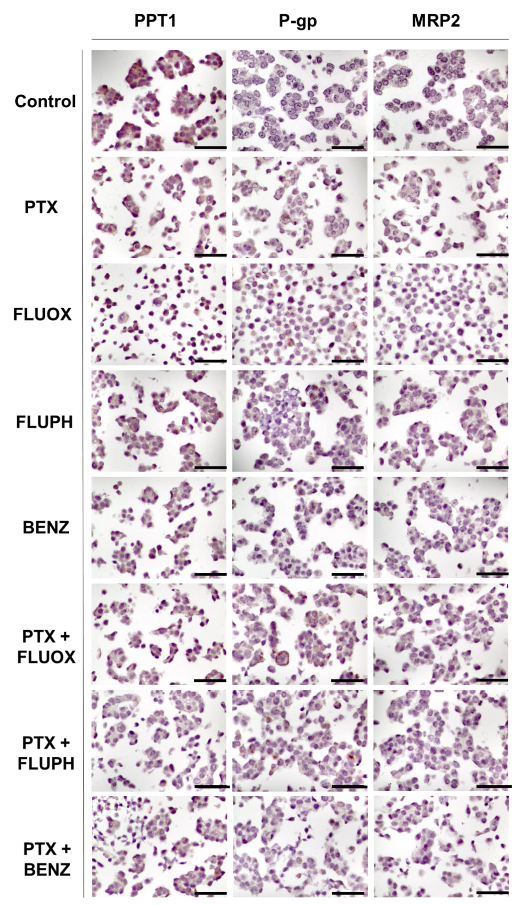 Biomolecules 12 01490 g012 Biomolecules 12 01490 g012