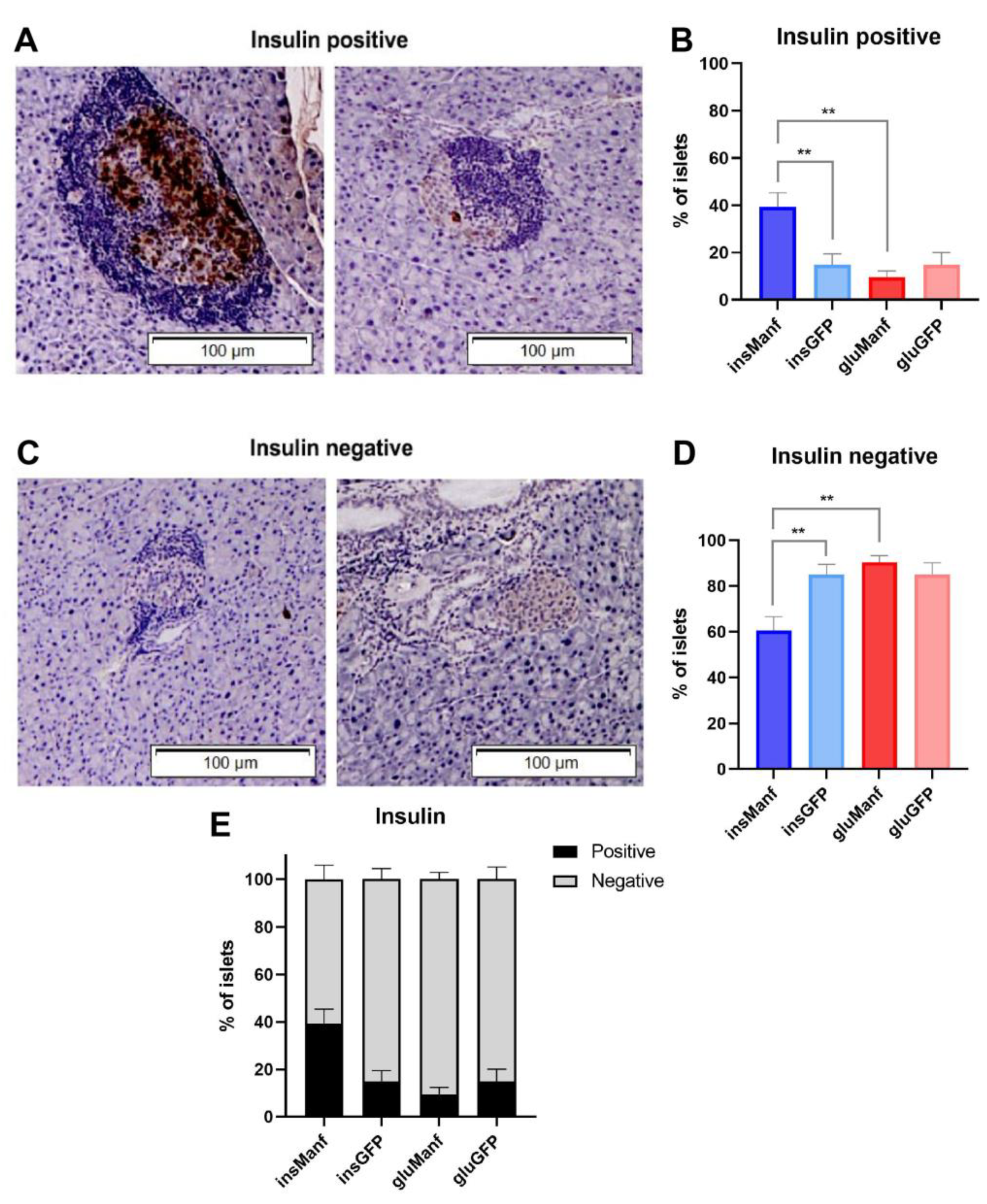 Biomolecules 12 01493 g004 Biomolecules 12 01493 g004