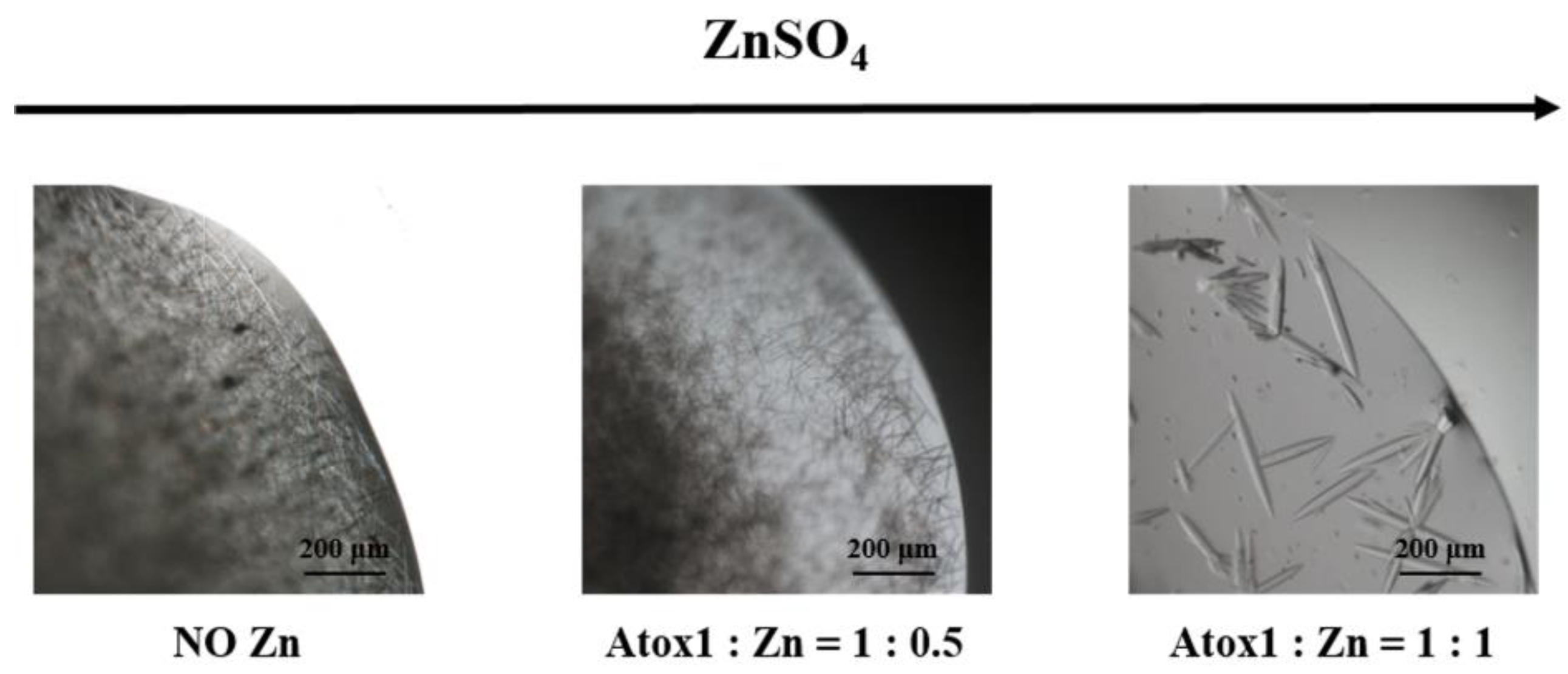 Biomolecules 12 01494 g001