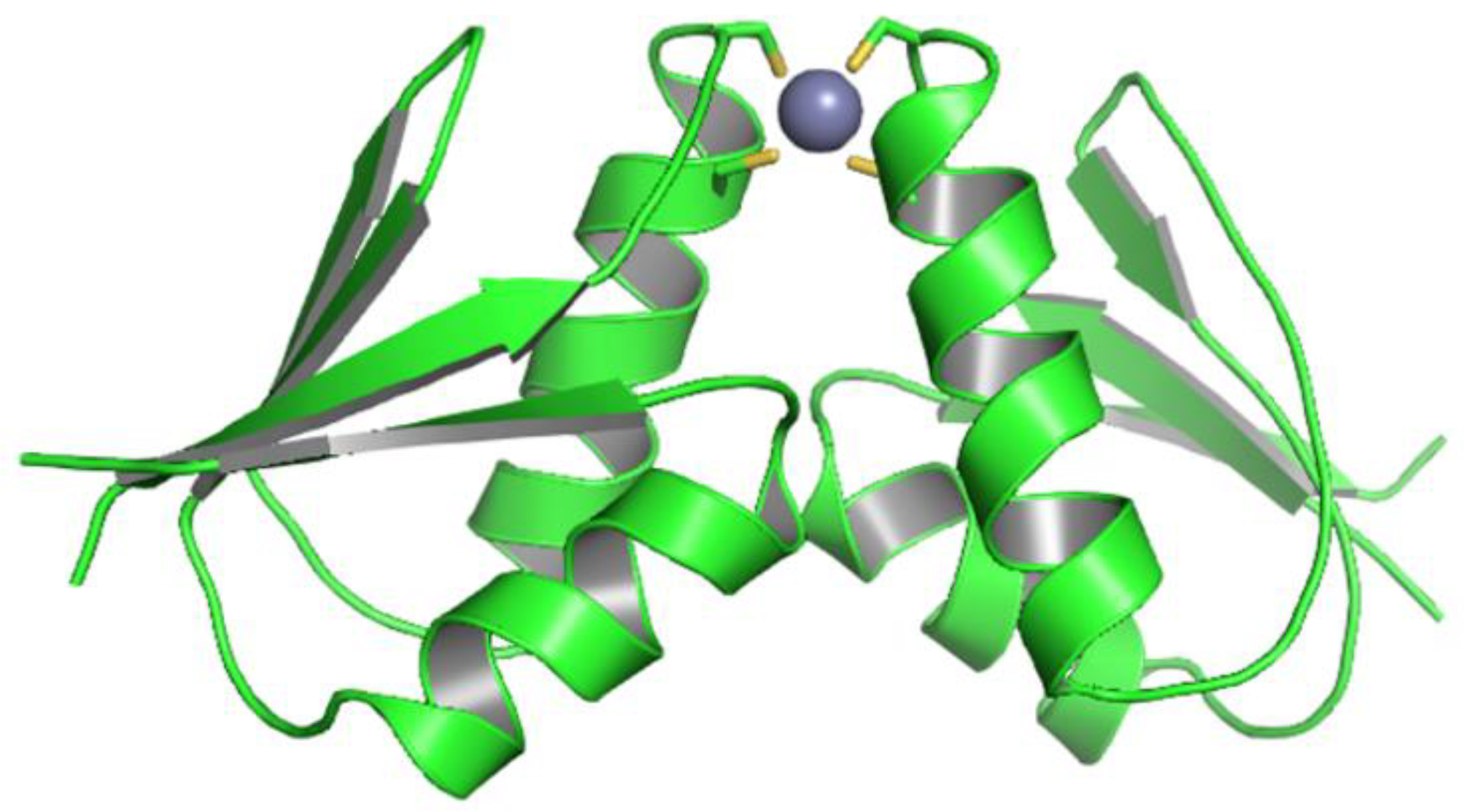 Biomolecules 12 01494 g002