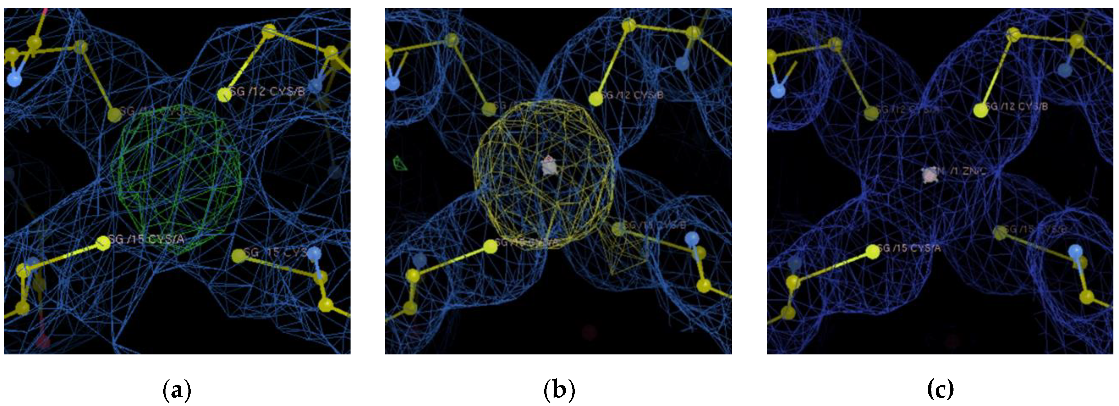 Biomolecules 12 01494 g003