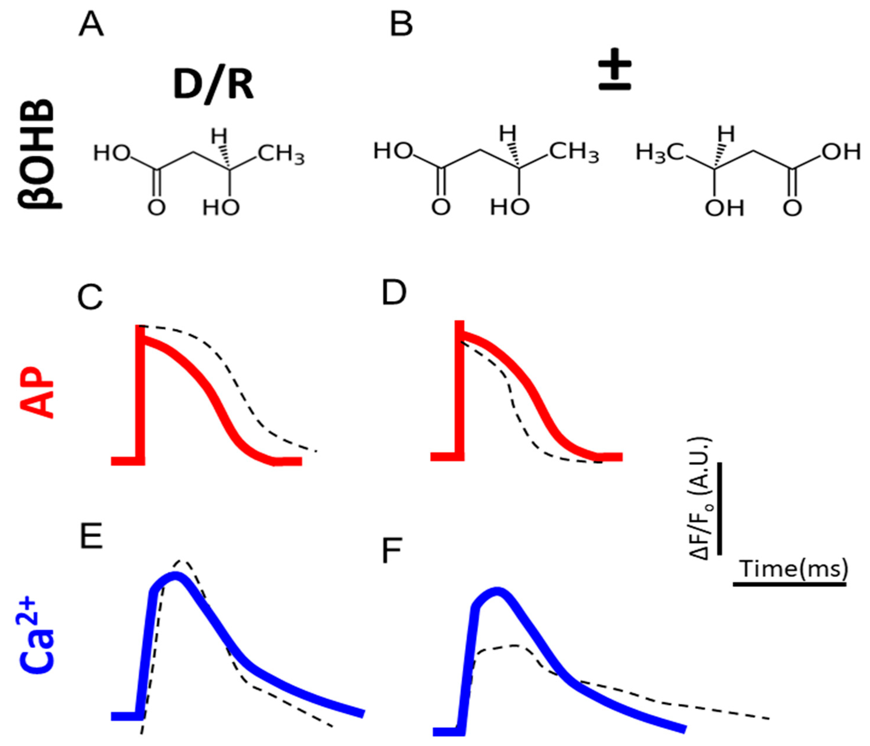 Biomolecules 12 01500 g008