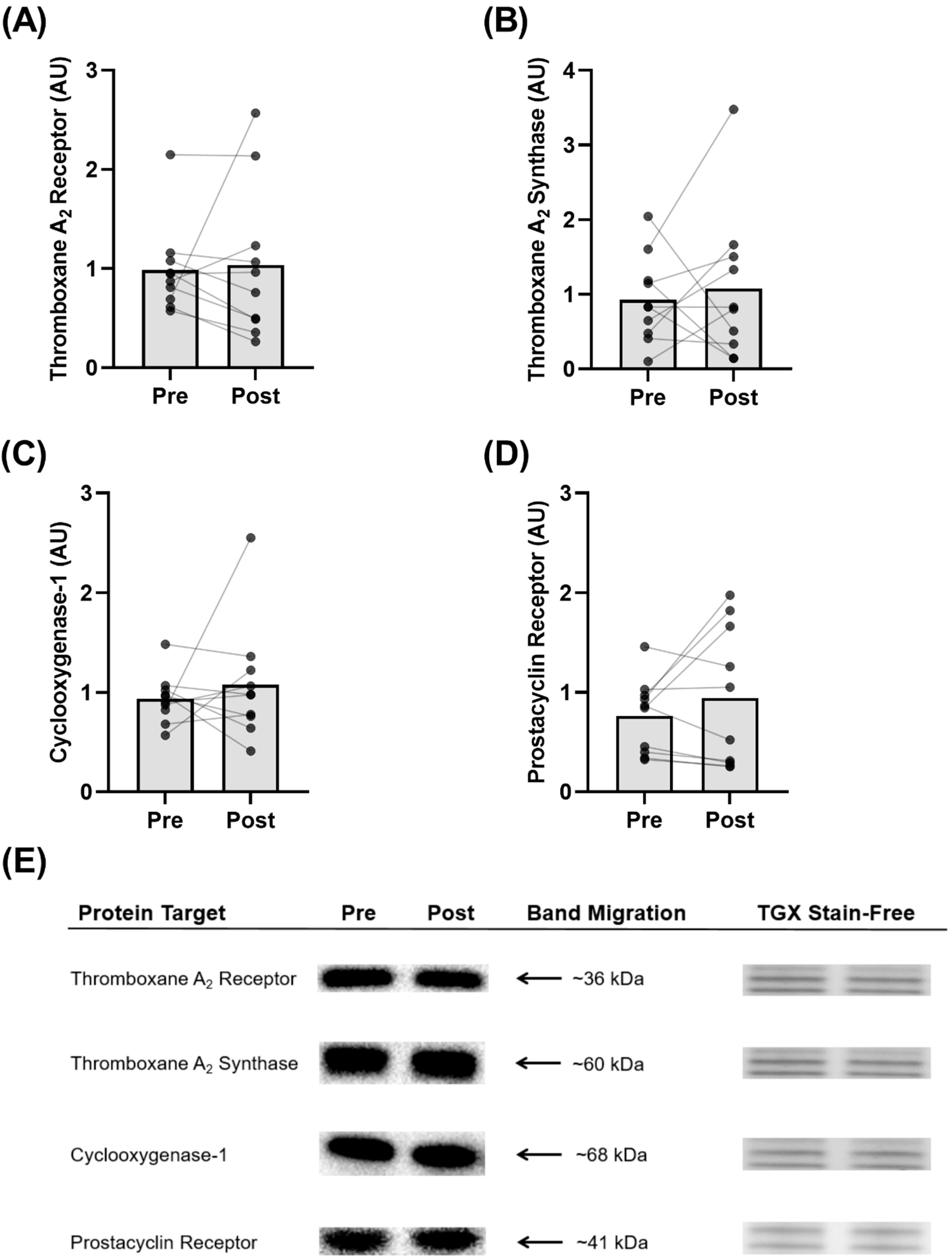 Biomolecules 12 01501 g006 Biomolecules 12 01501 g006