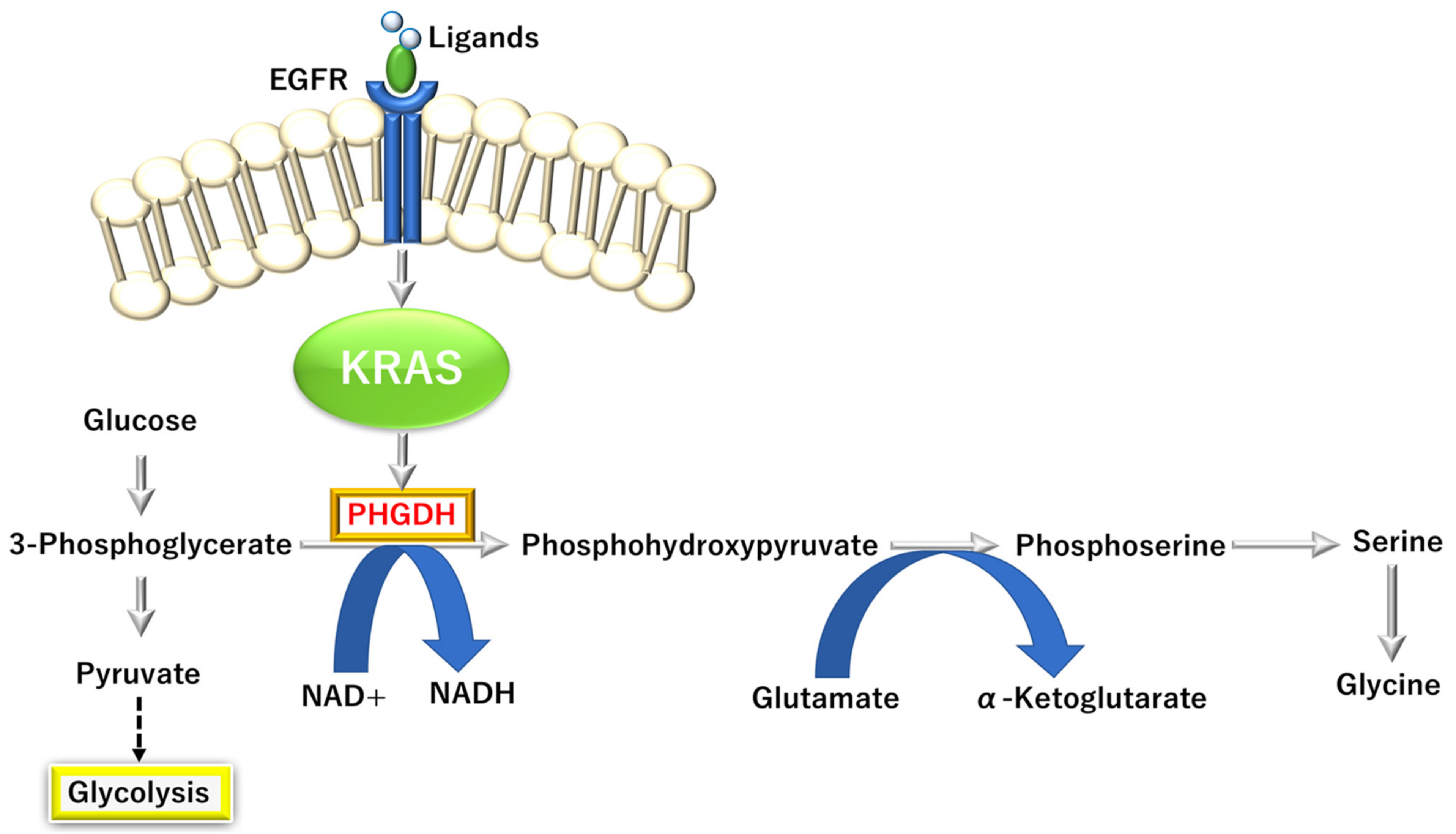 Biomolecules 12 01503 g006