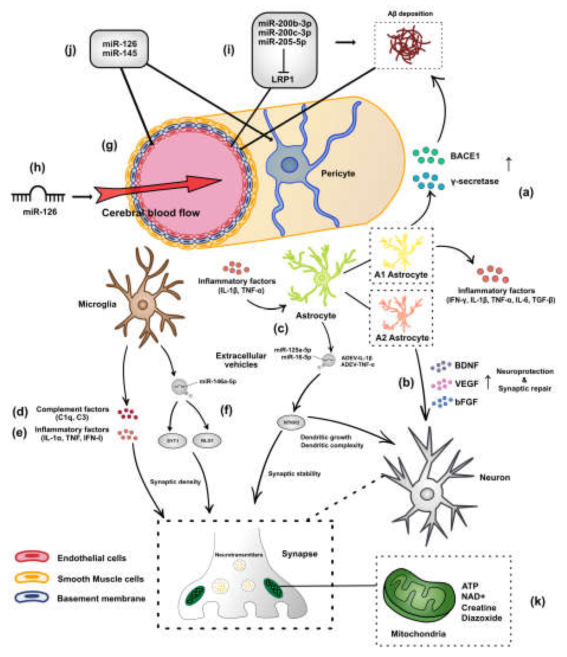 Biomolecules 12 01505 g001 Biomolecules 12 01505 g001